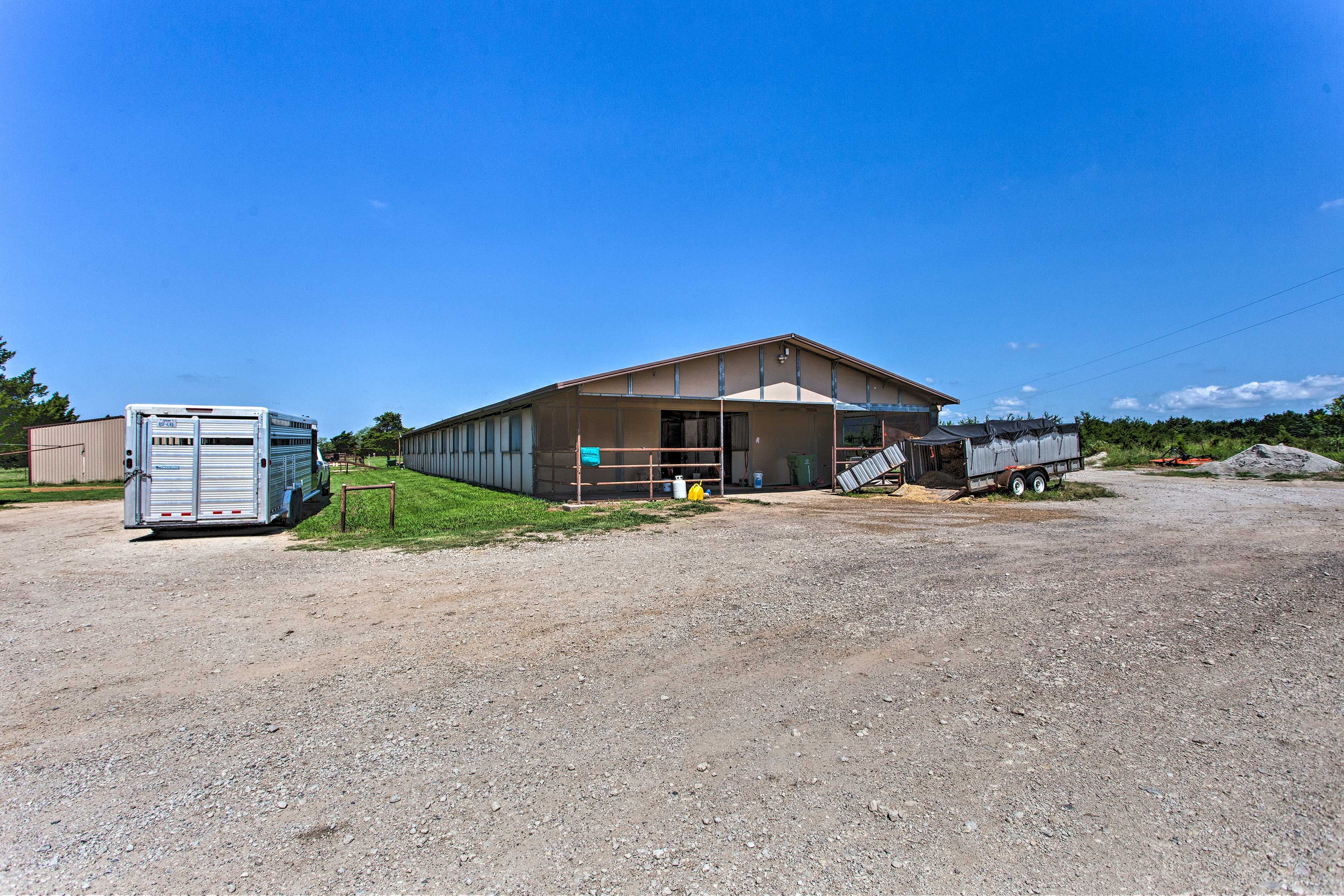 Horse/Cattle Ranch