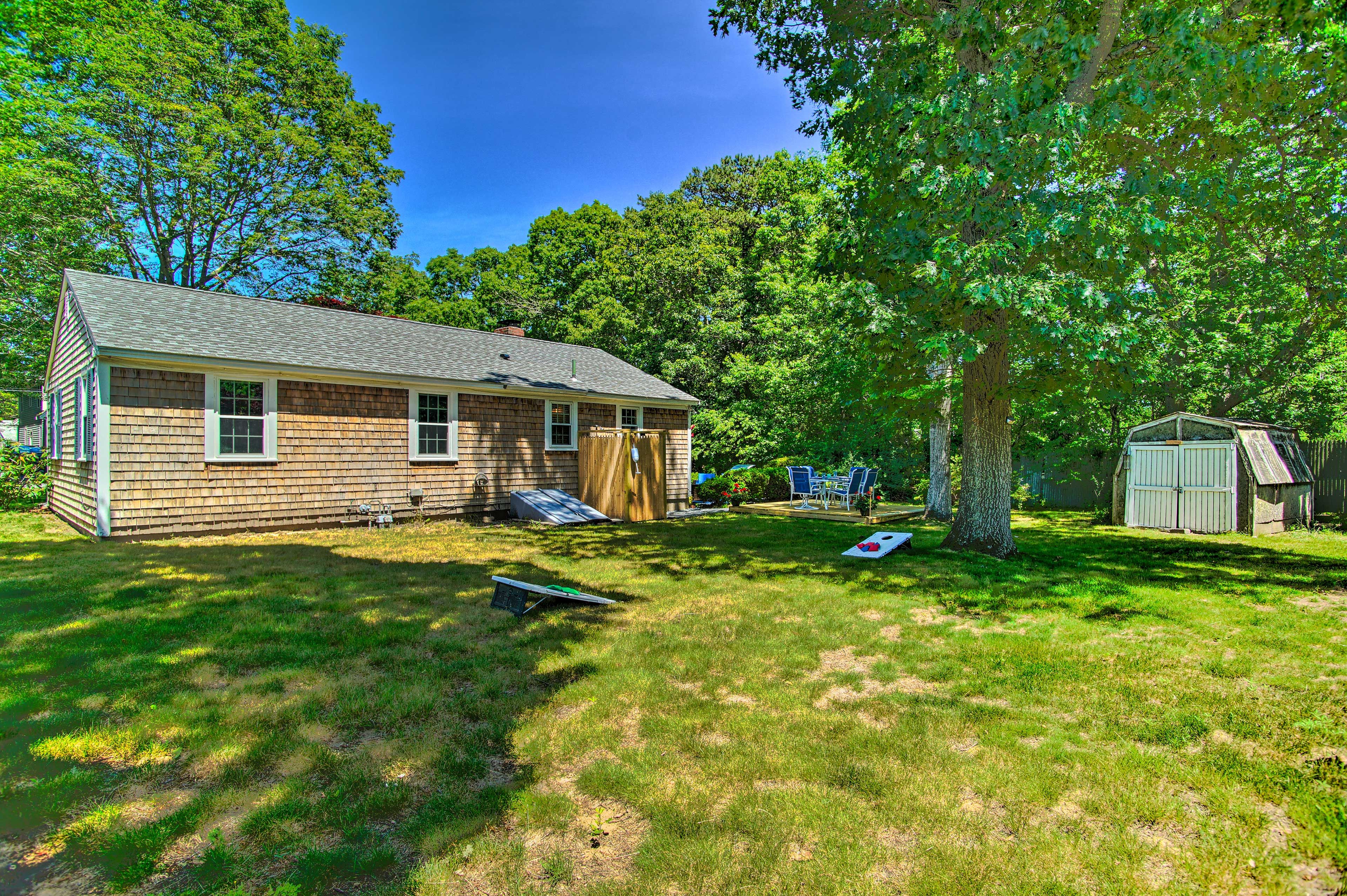 Backyard | Cornhole