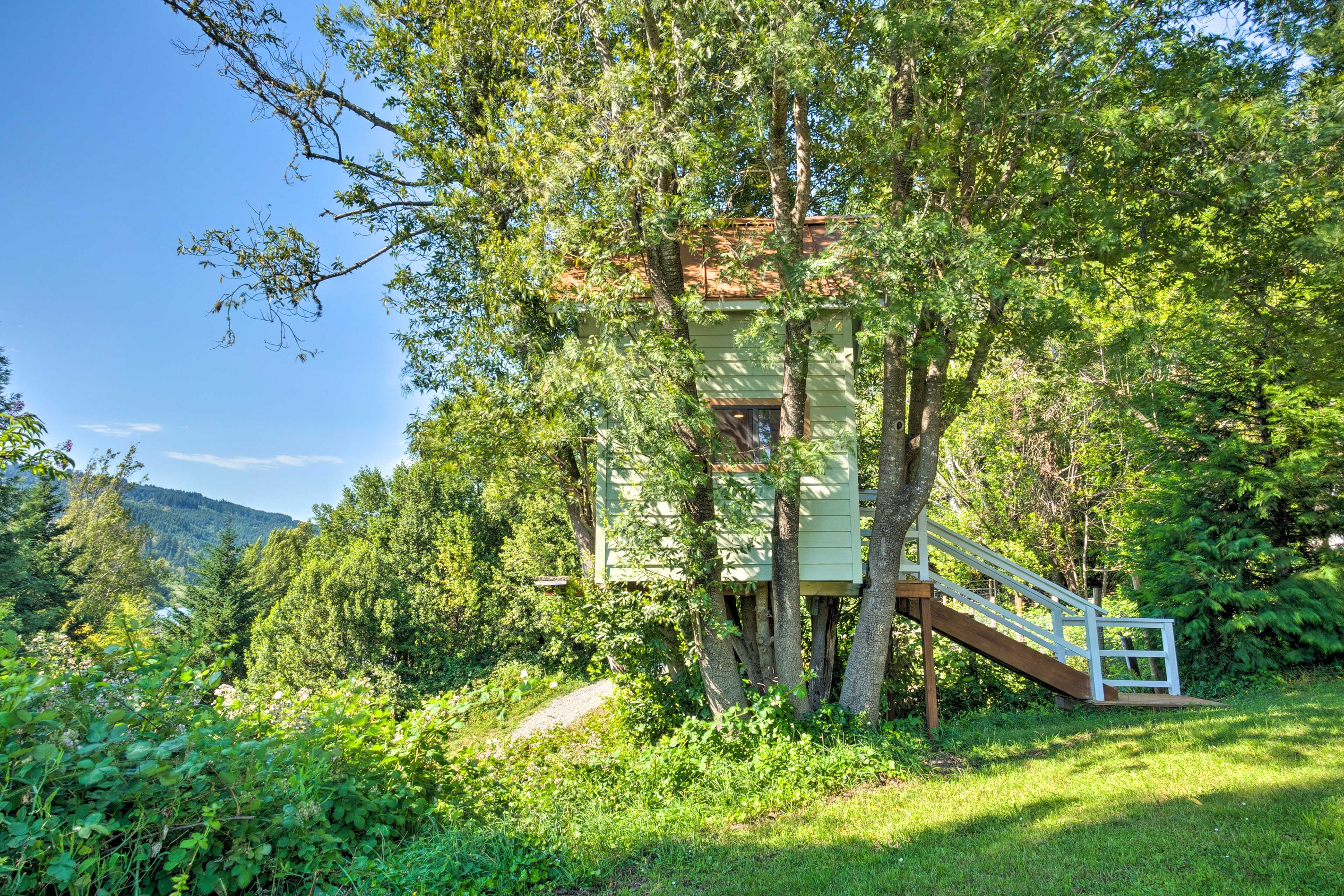 Treehouse