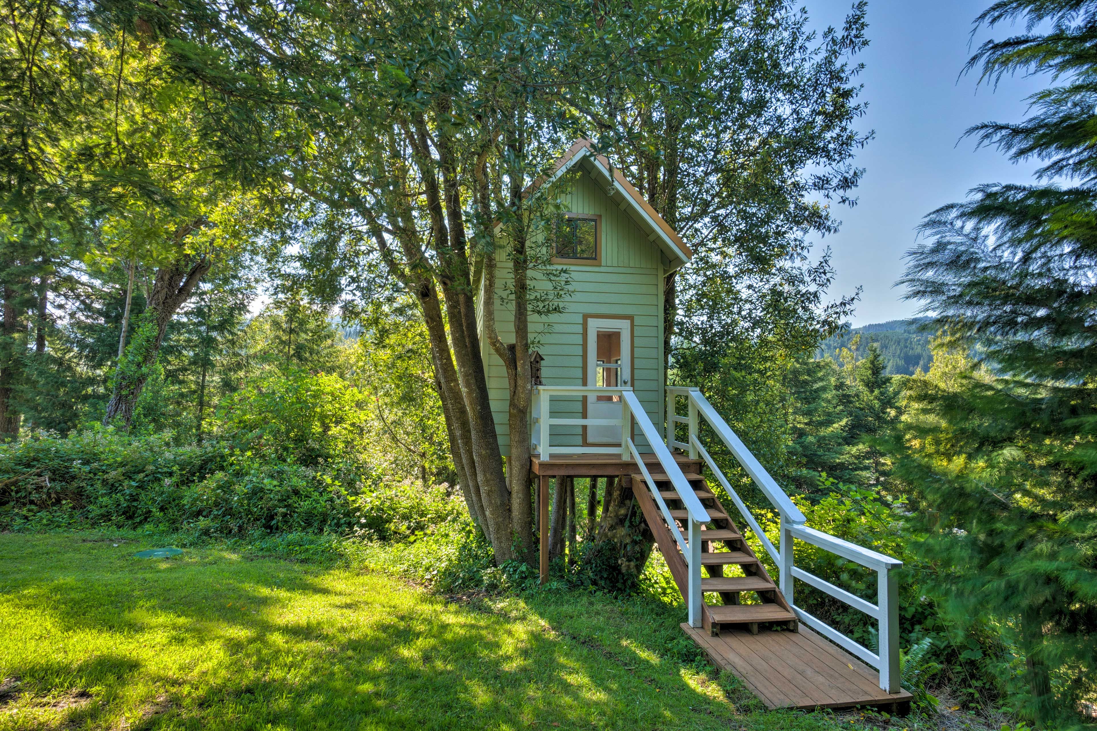 Treehouse | Stairs Required