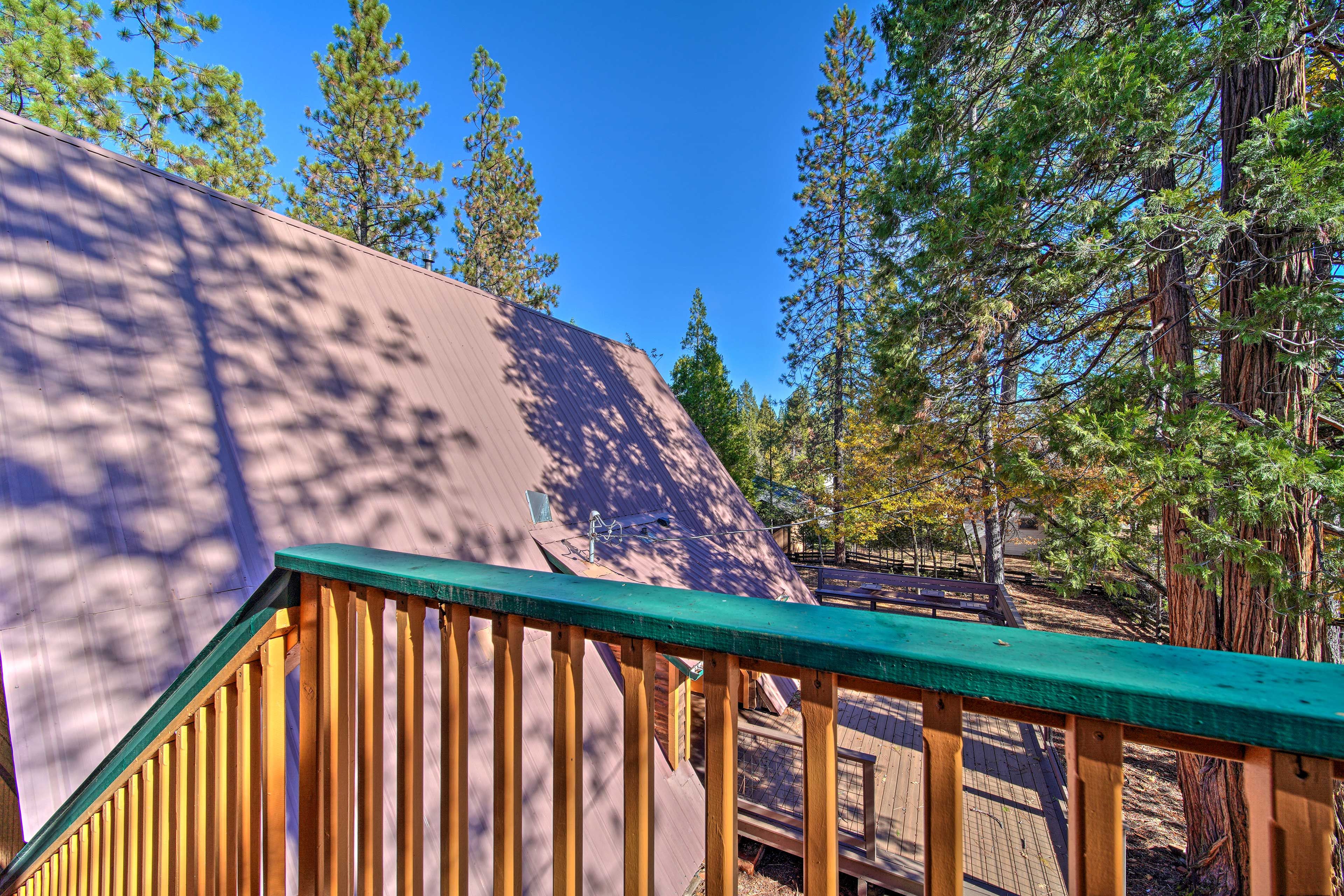 Cabin Exterior