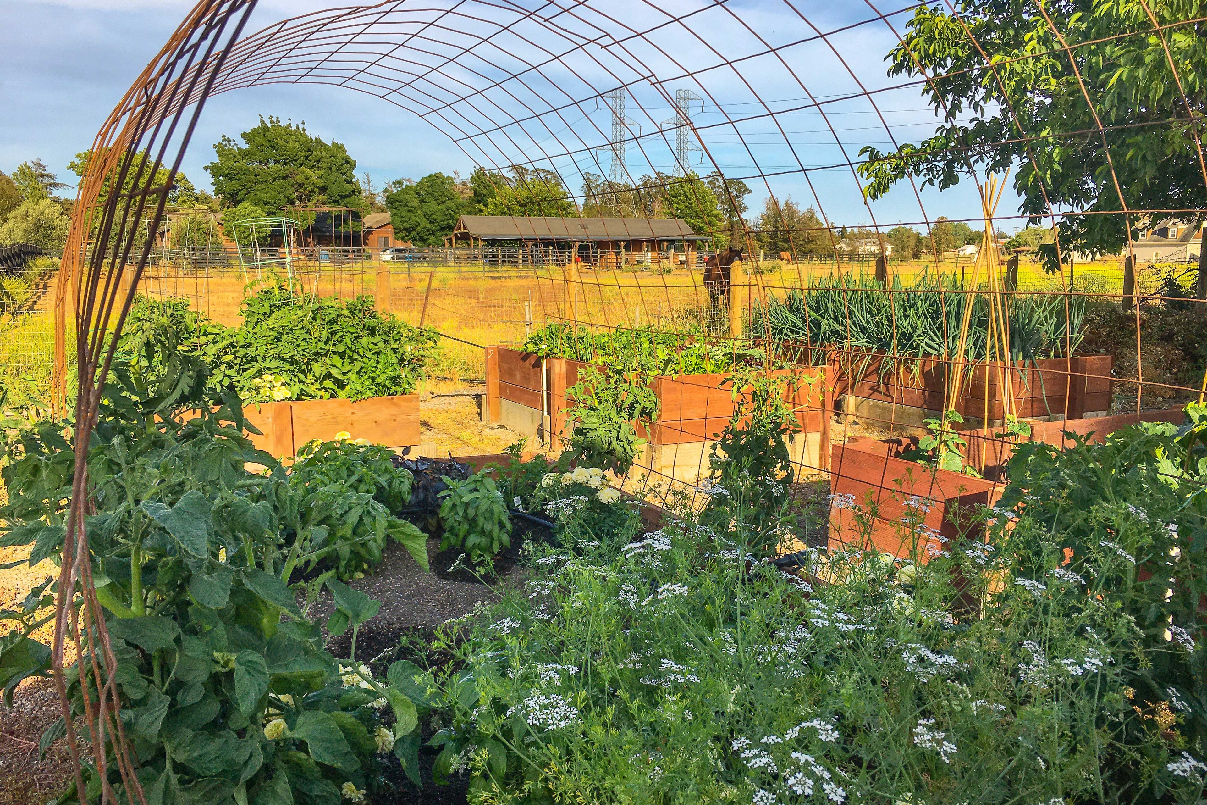 Gardens