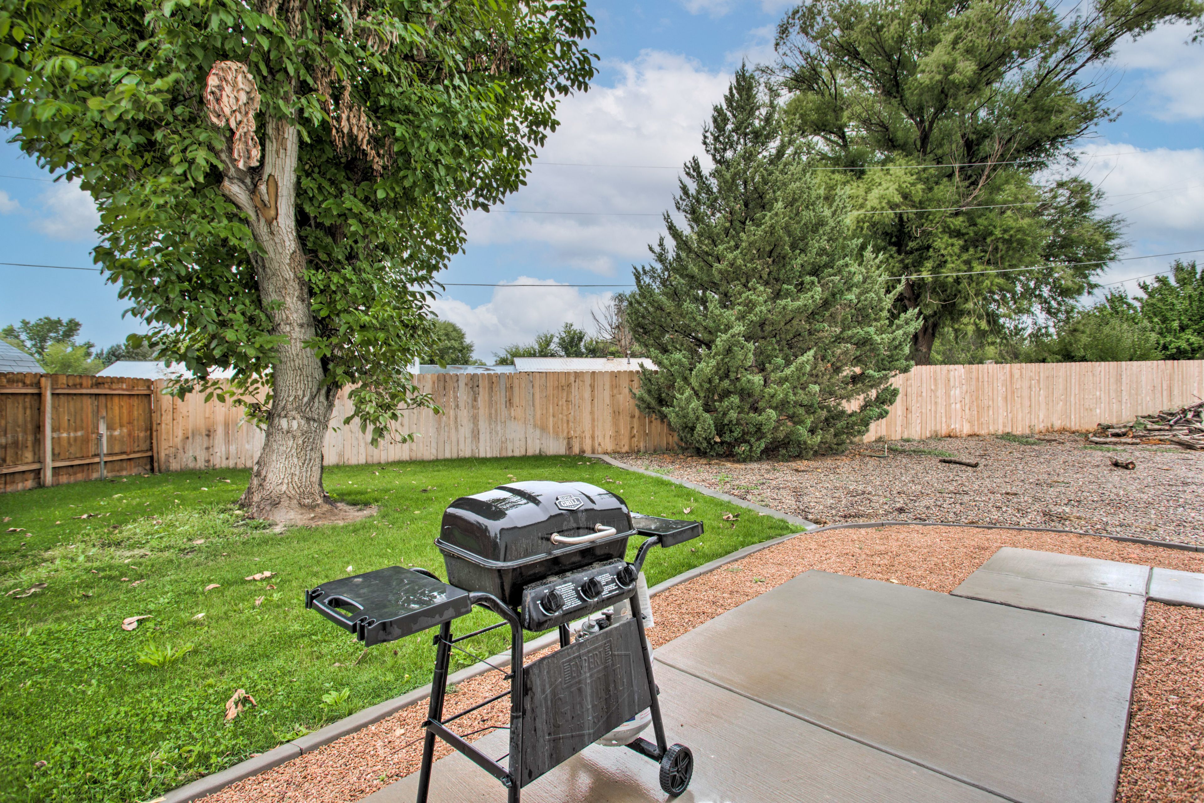 Backyard | Gas Grill