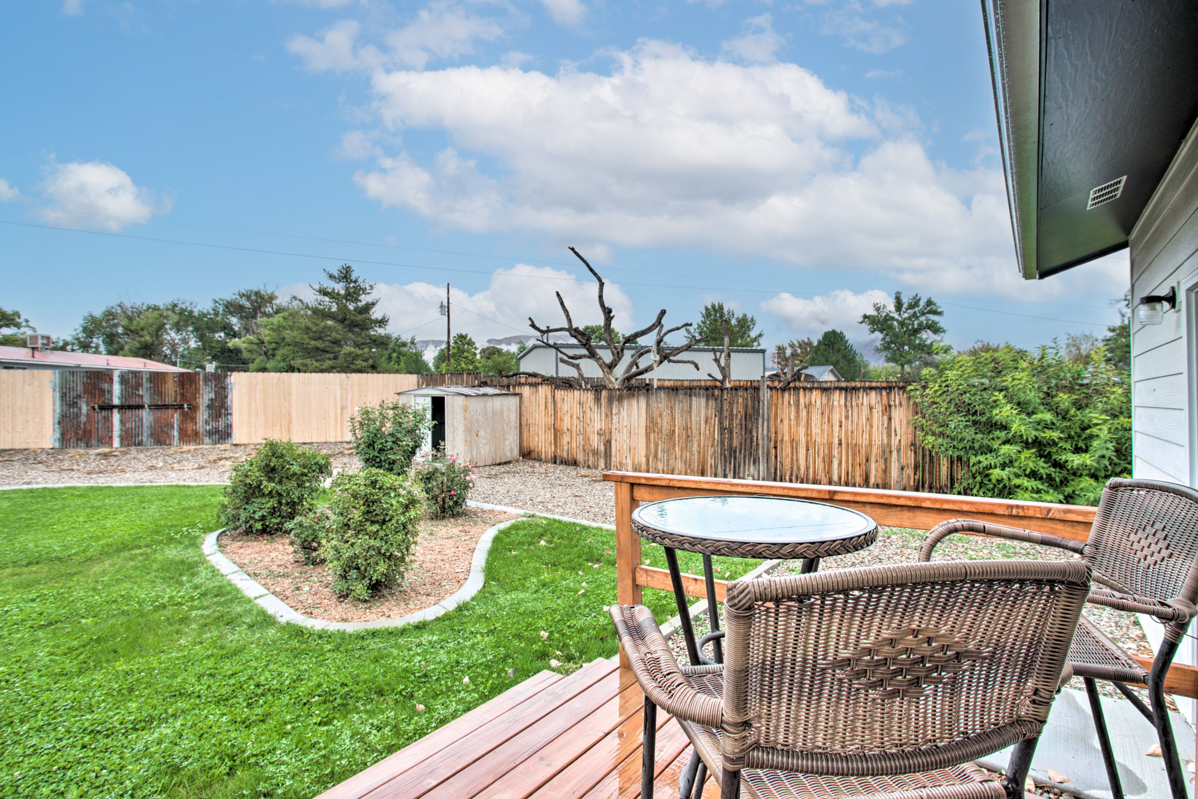 Backyard