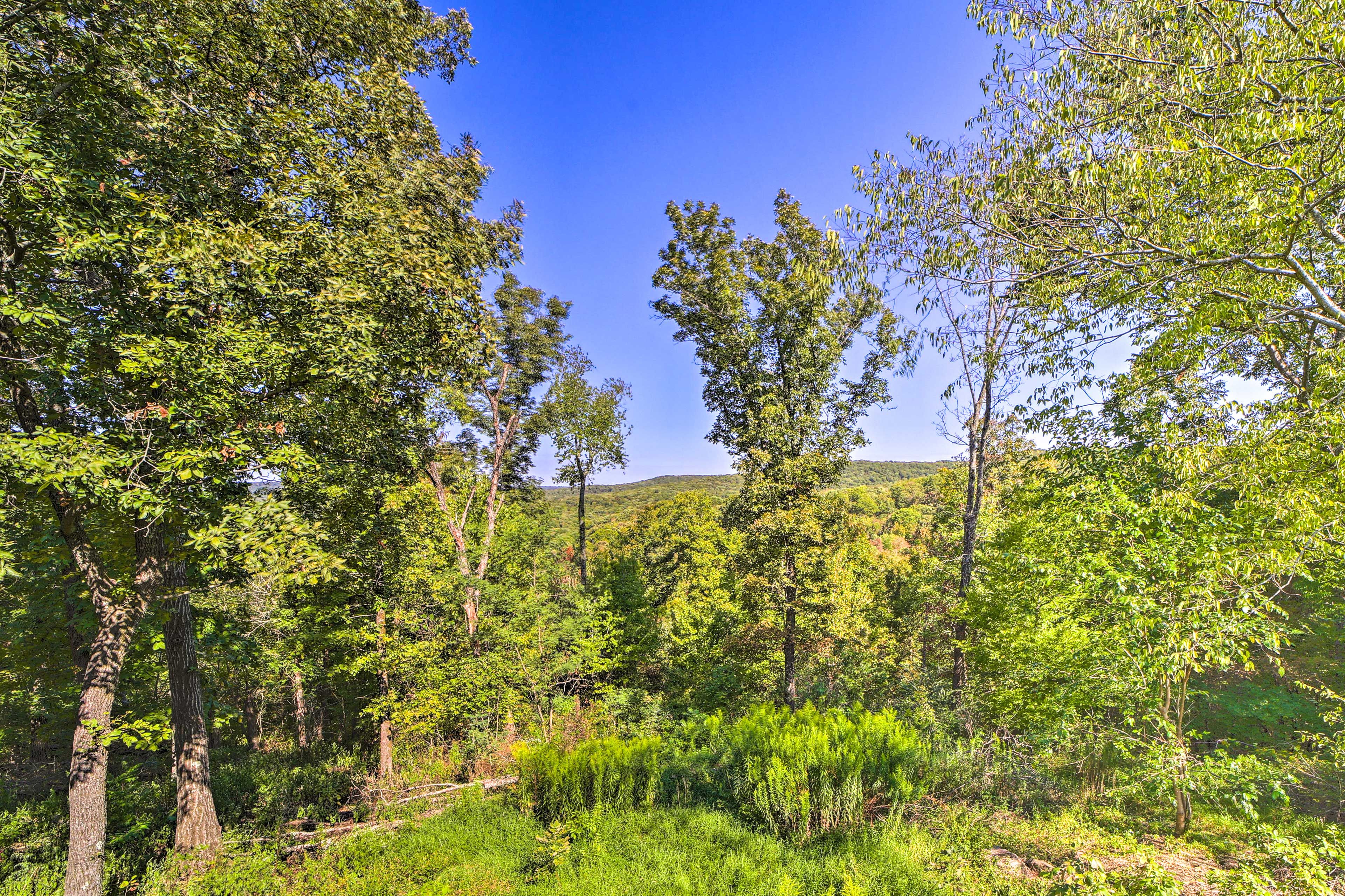 Yard | Mountain Views
