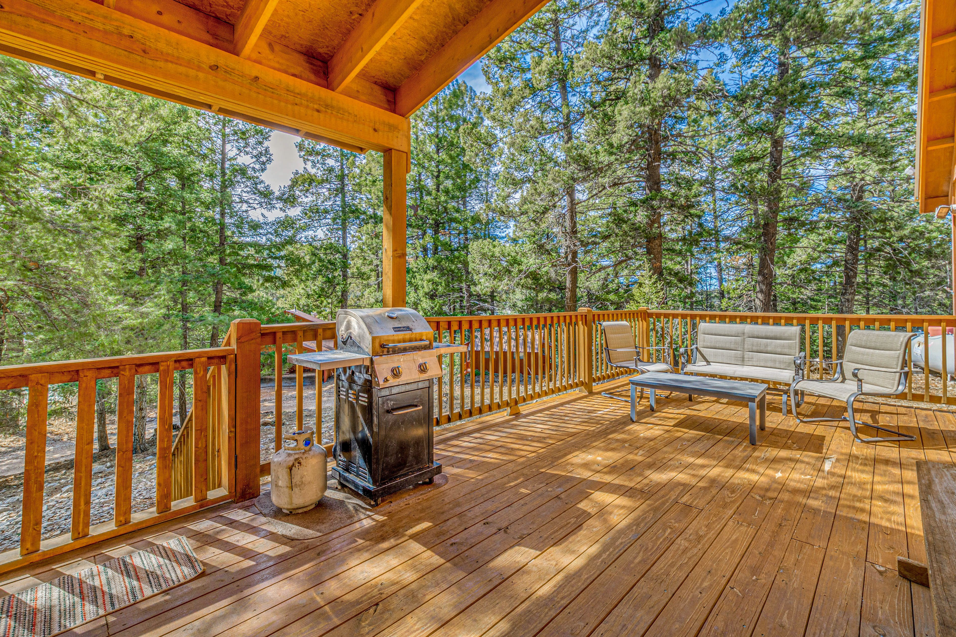 Deck | Dining Set w/ Gas Grill