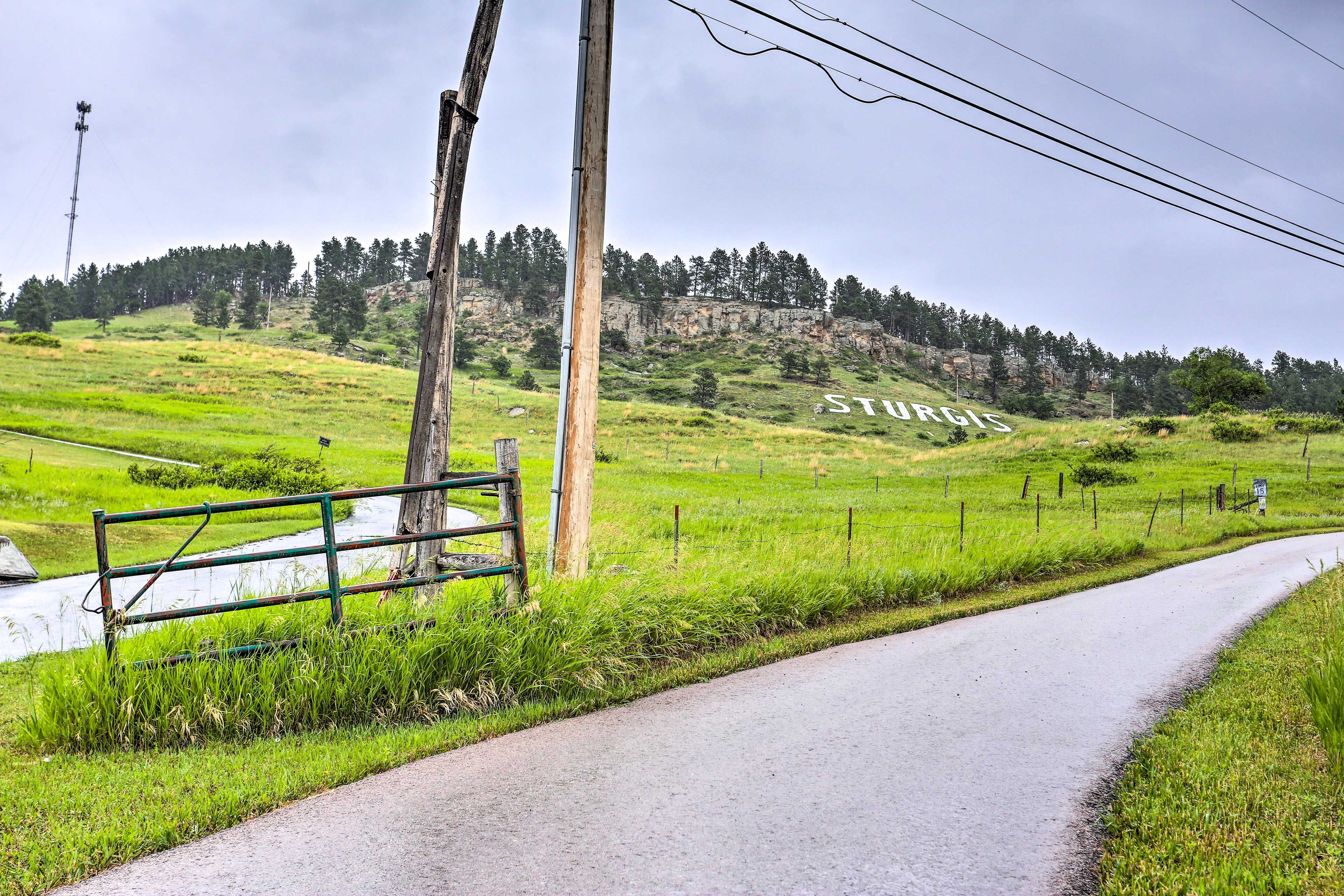 Black Hills Views