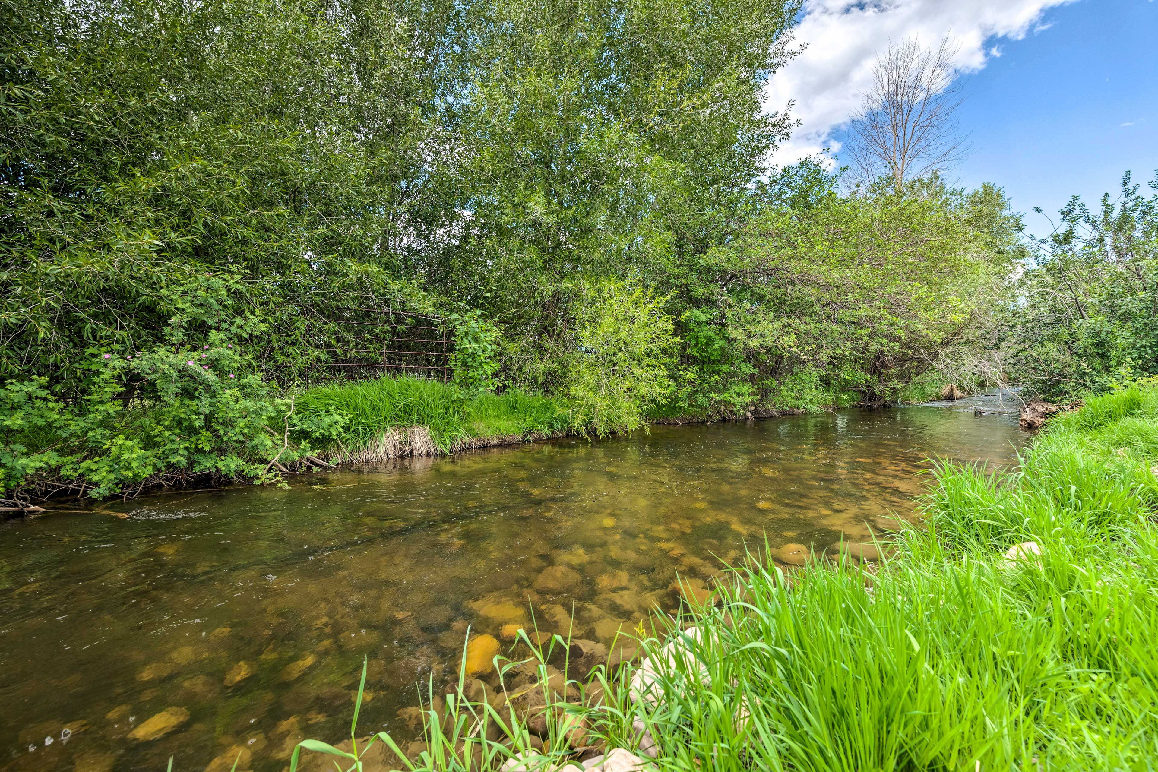 On-Site Creek