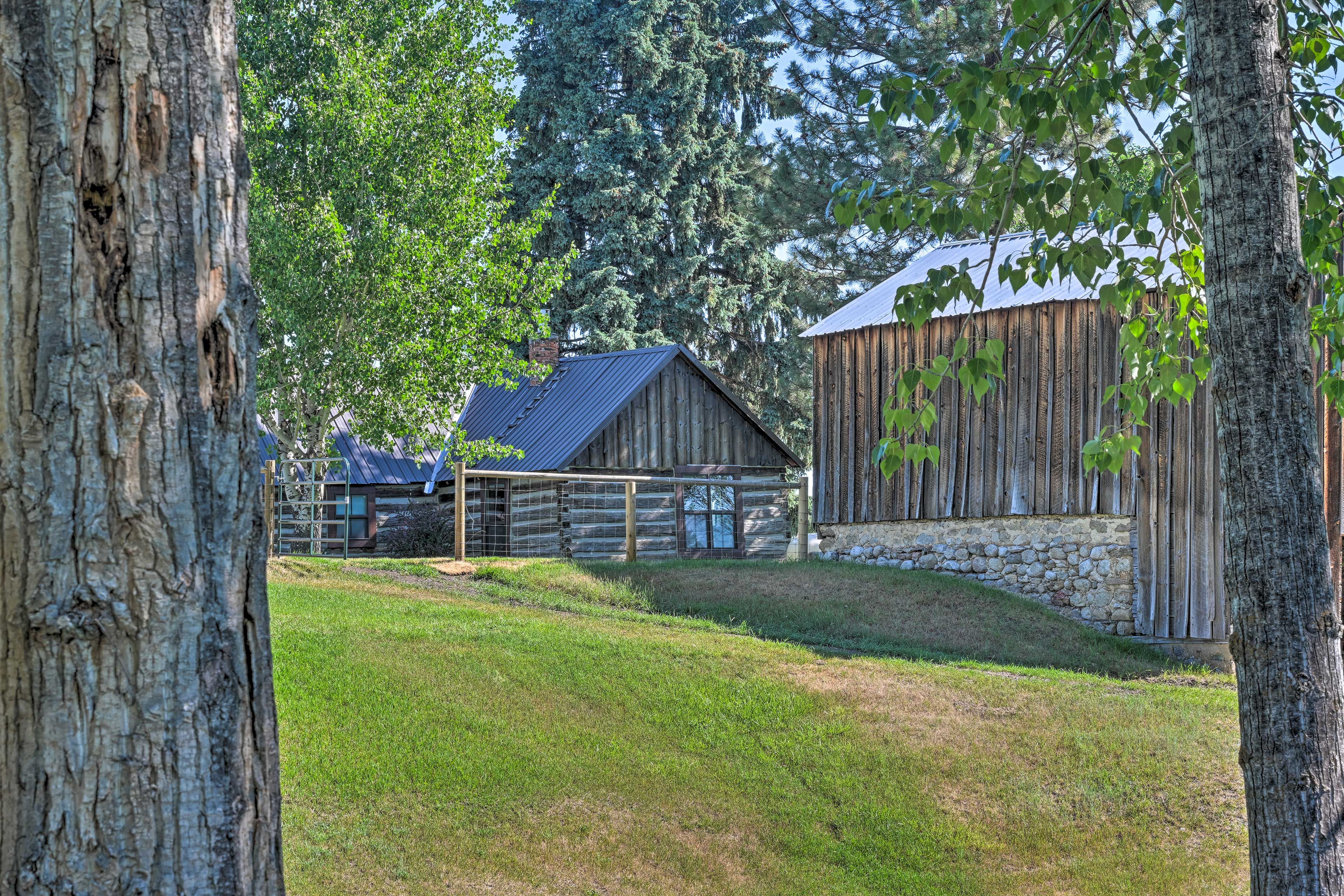 Cabin Exterior