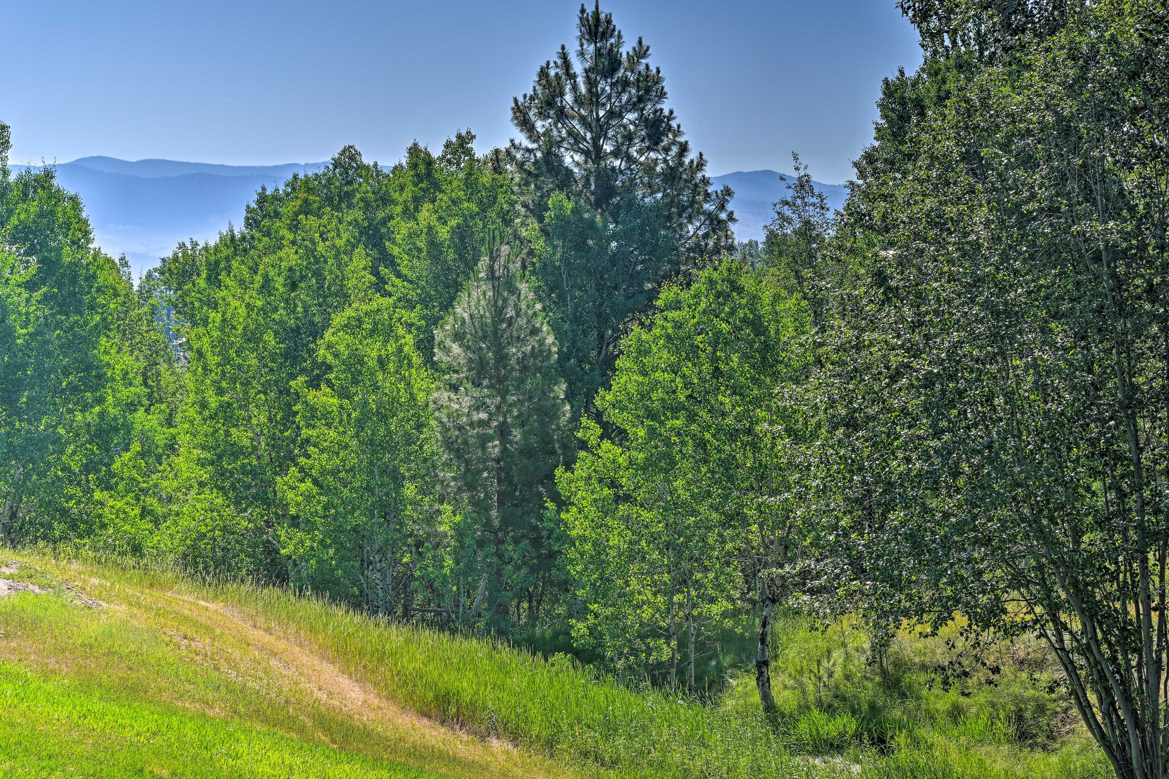 Mountain Views