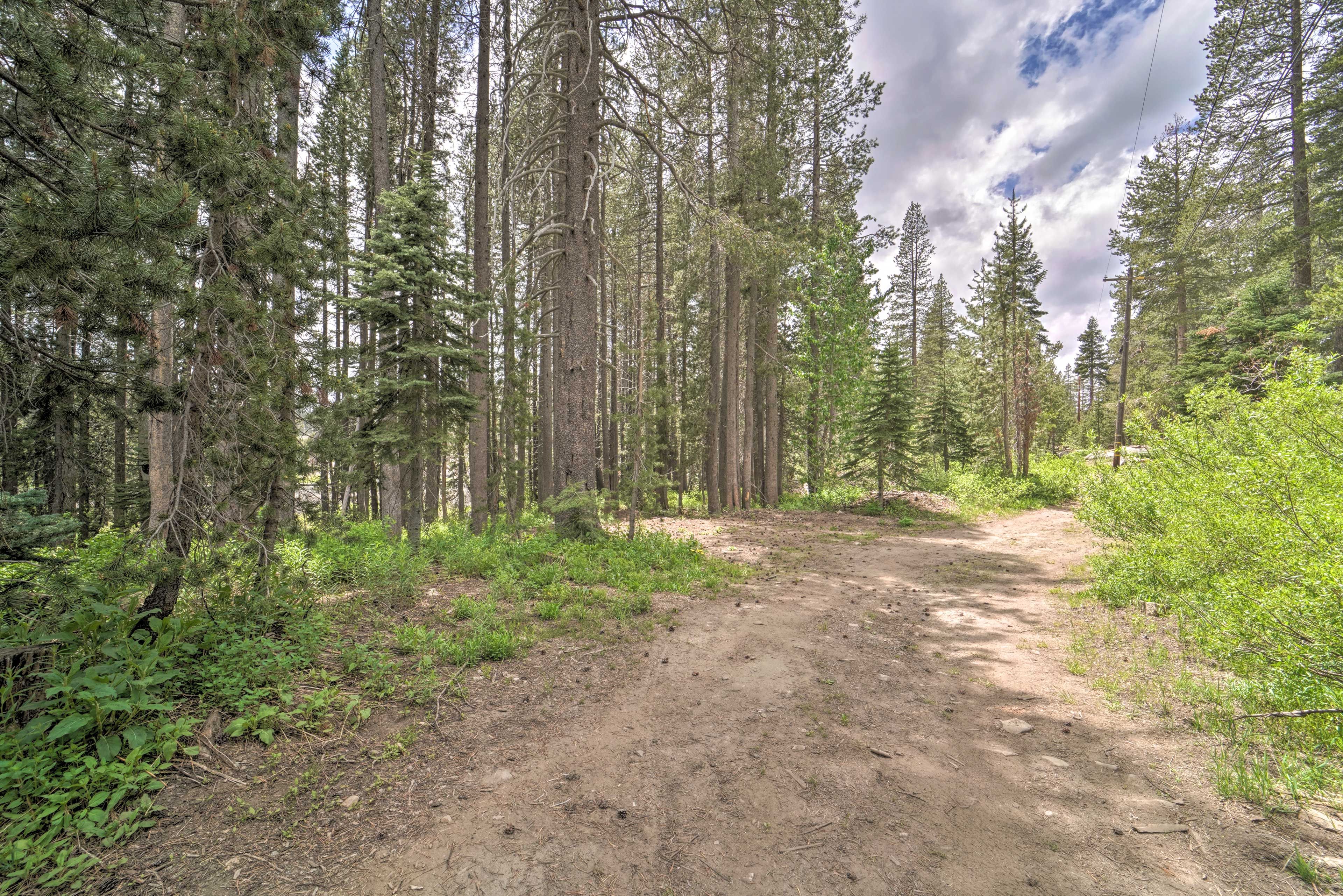 Nearby Trails