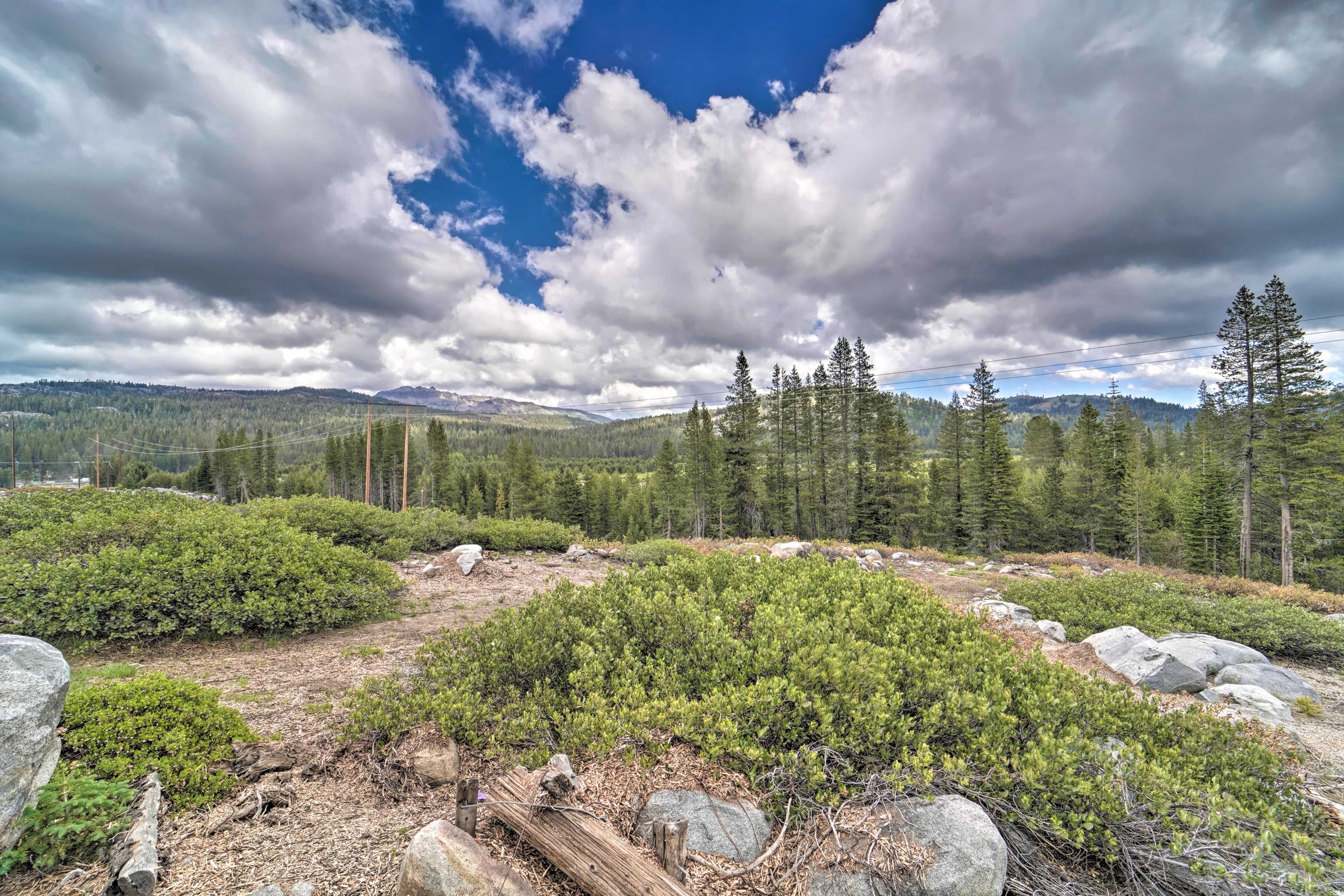 Local Hiking Trails
