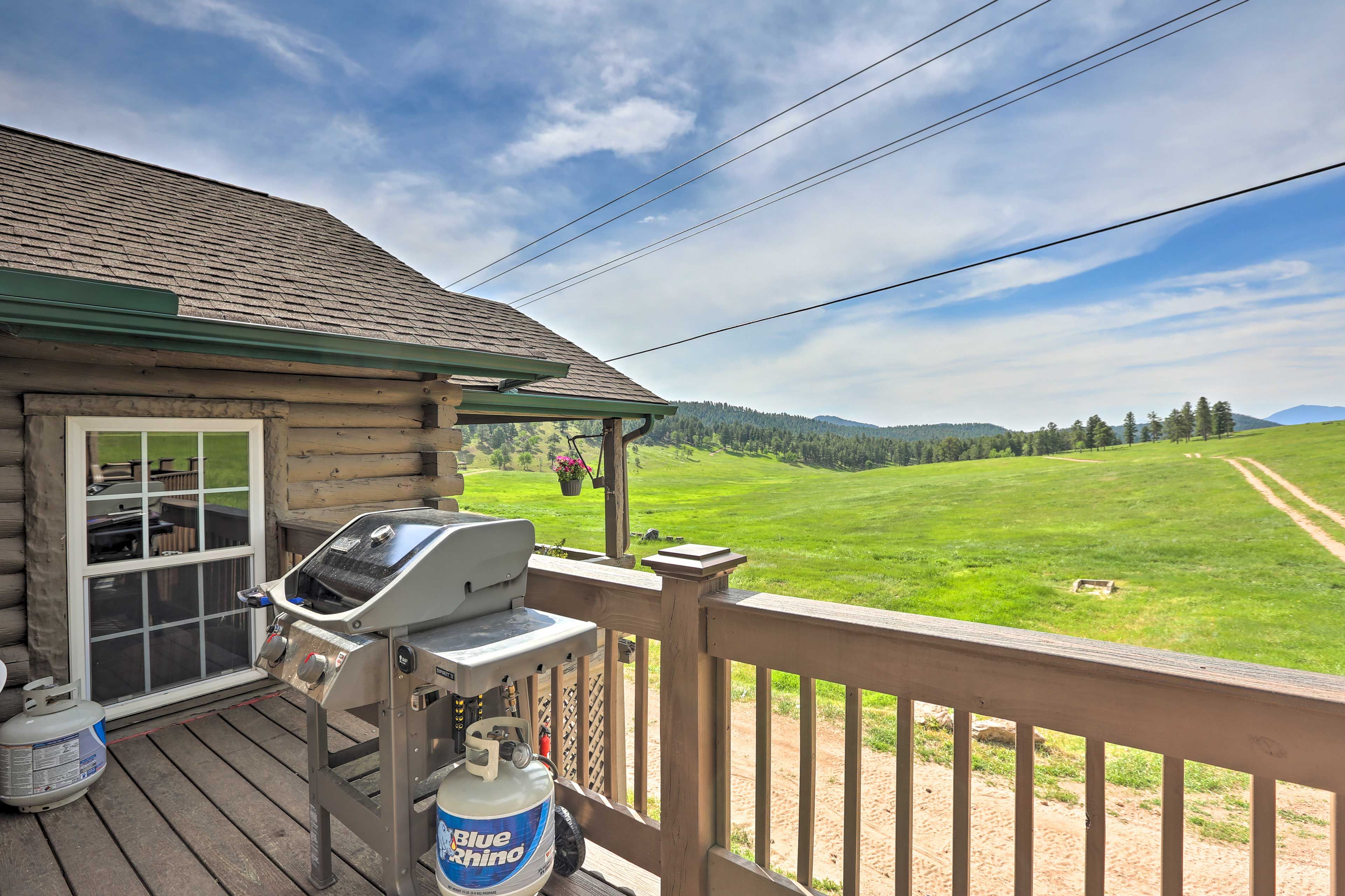 Deck | Gas Grill | 100-Acre Lot