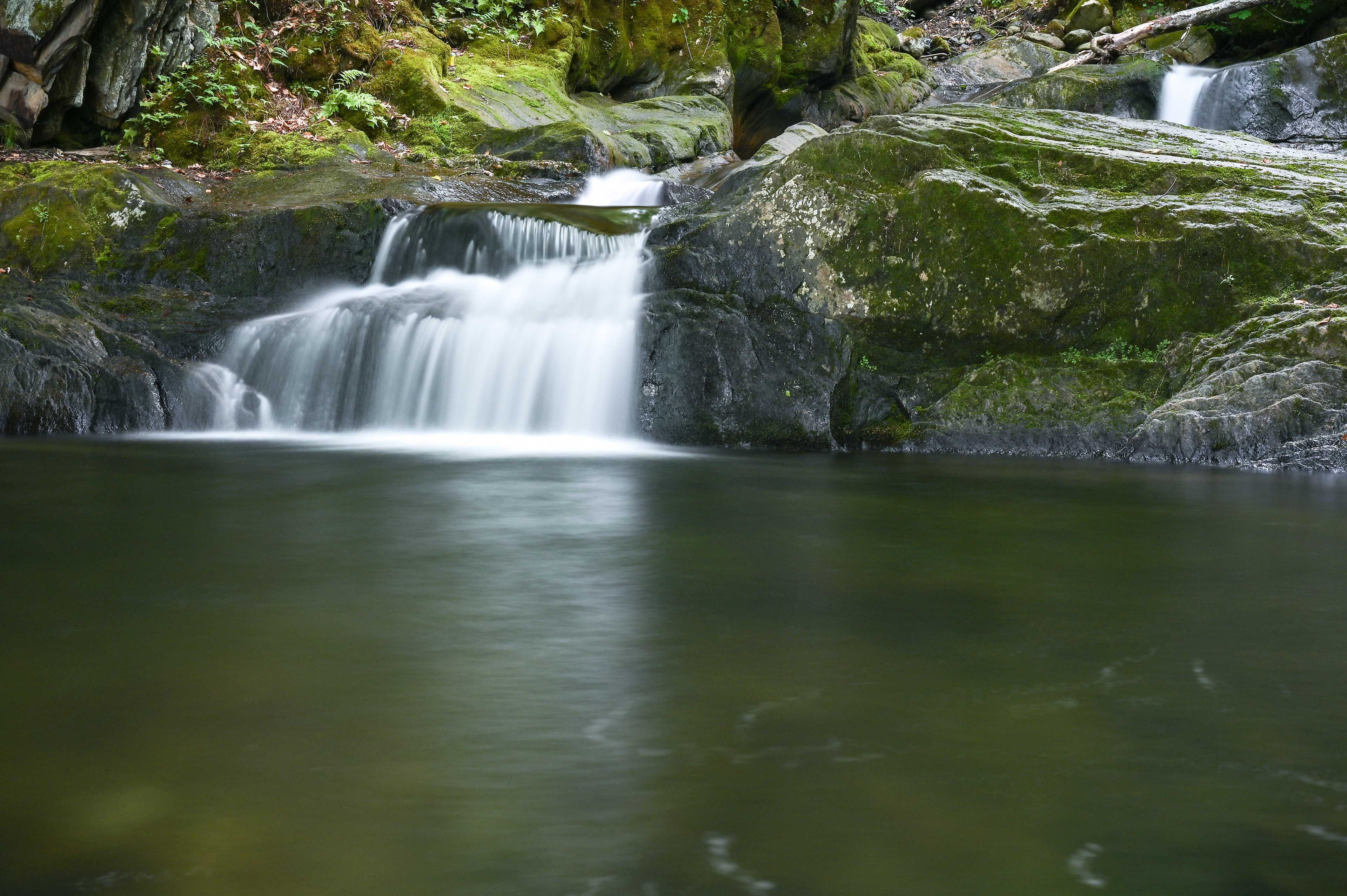 Image 28
