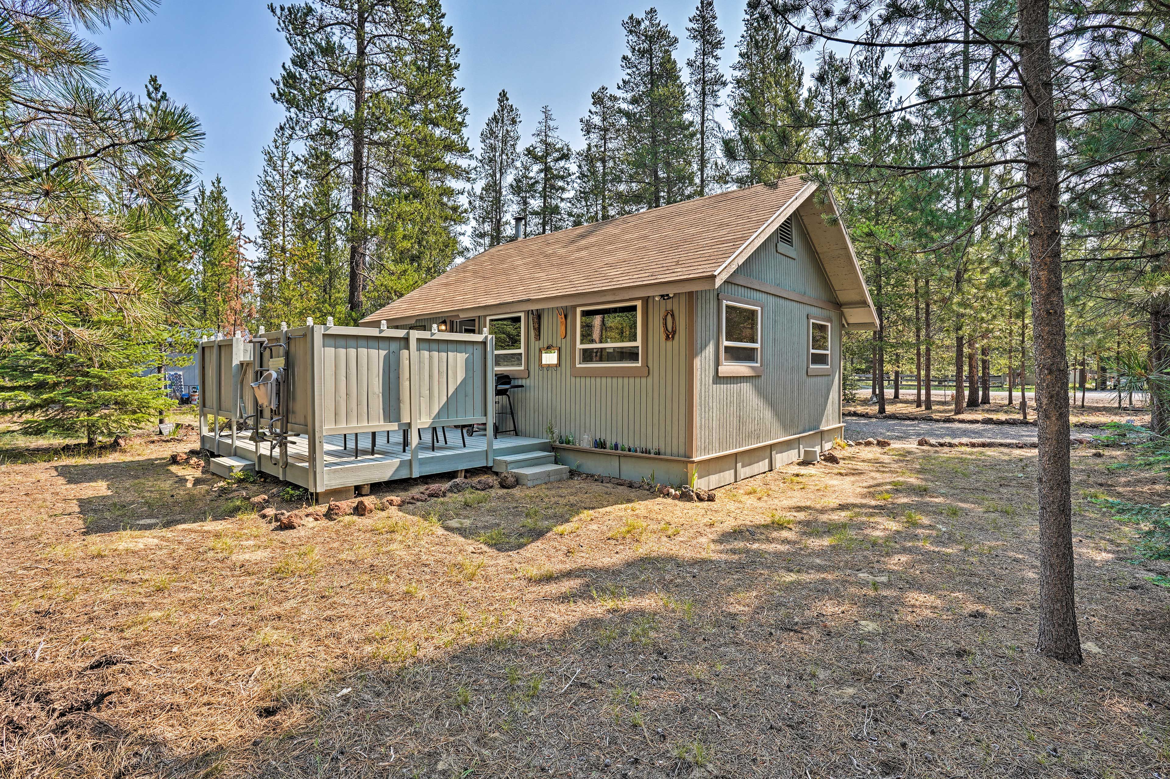 Cabin Exterior
