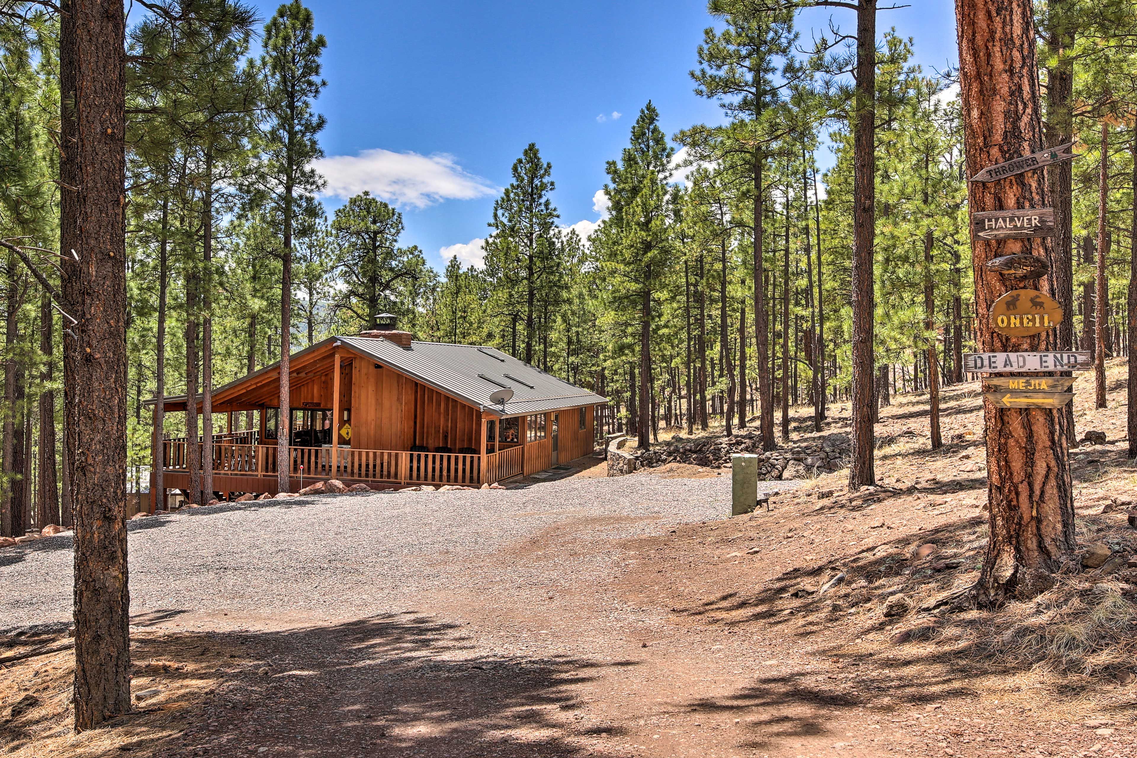Cabin Exterior