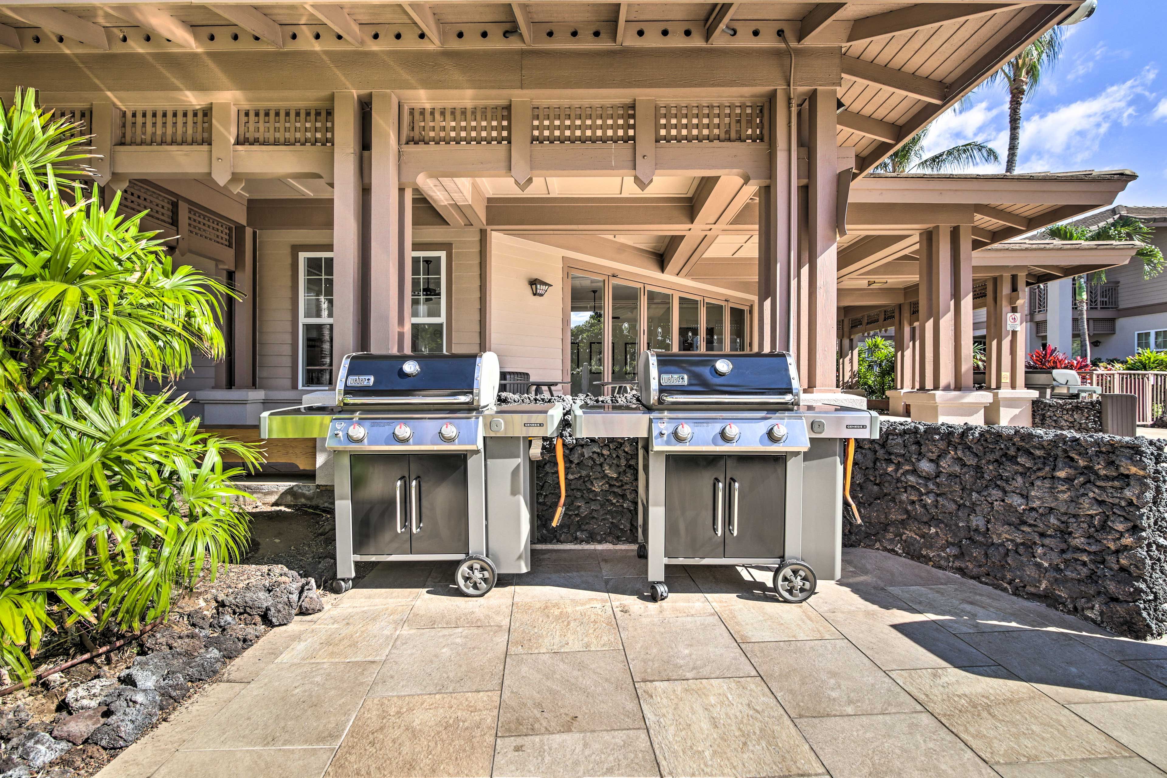 Community Gas Grills
