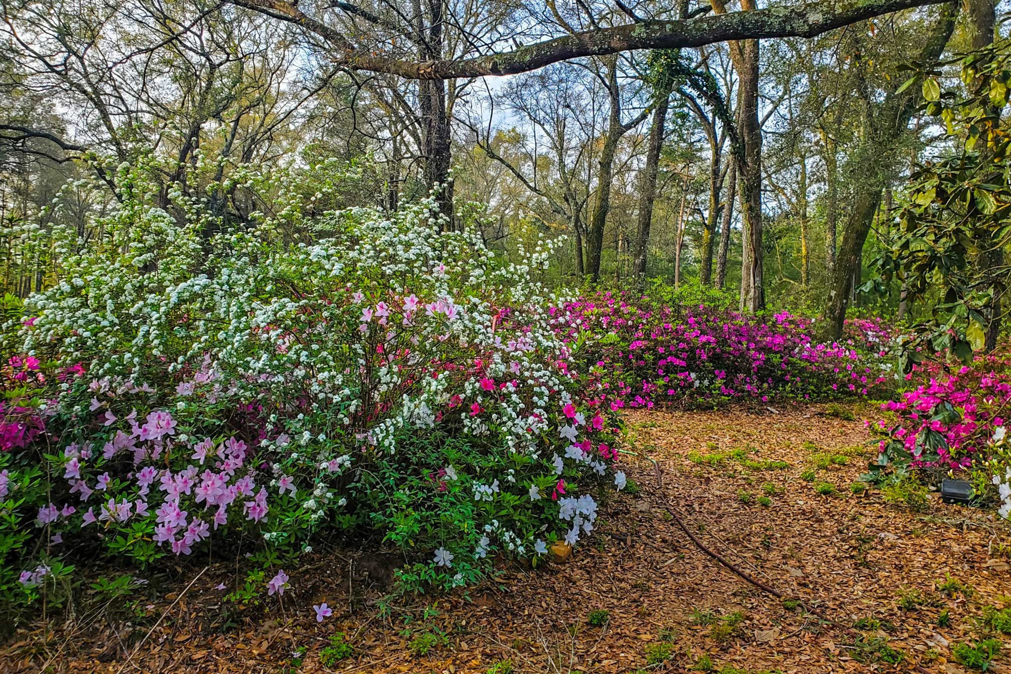 House Exterior | Spring Foliage