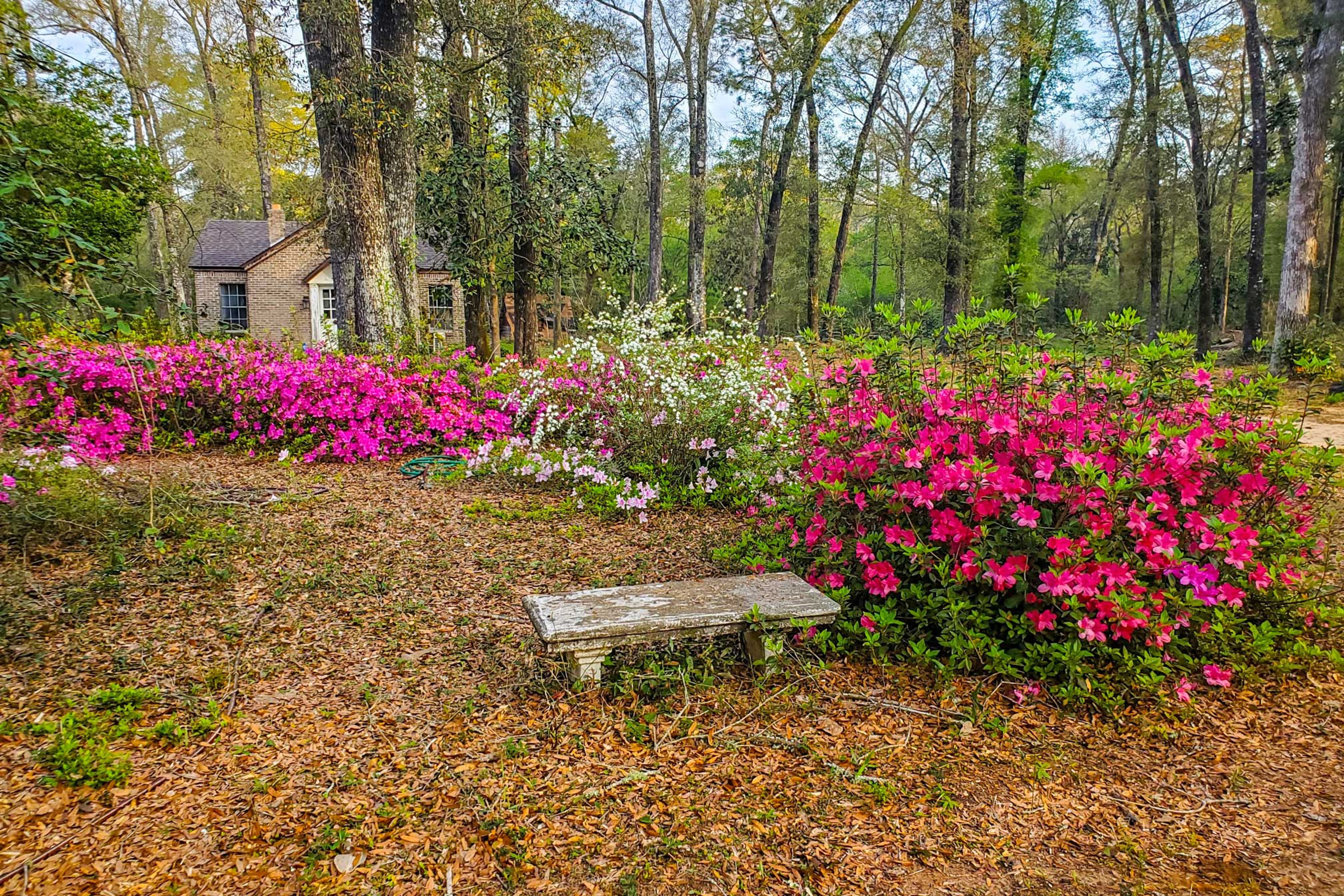 House Exterior | 12 Private Acres