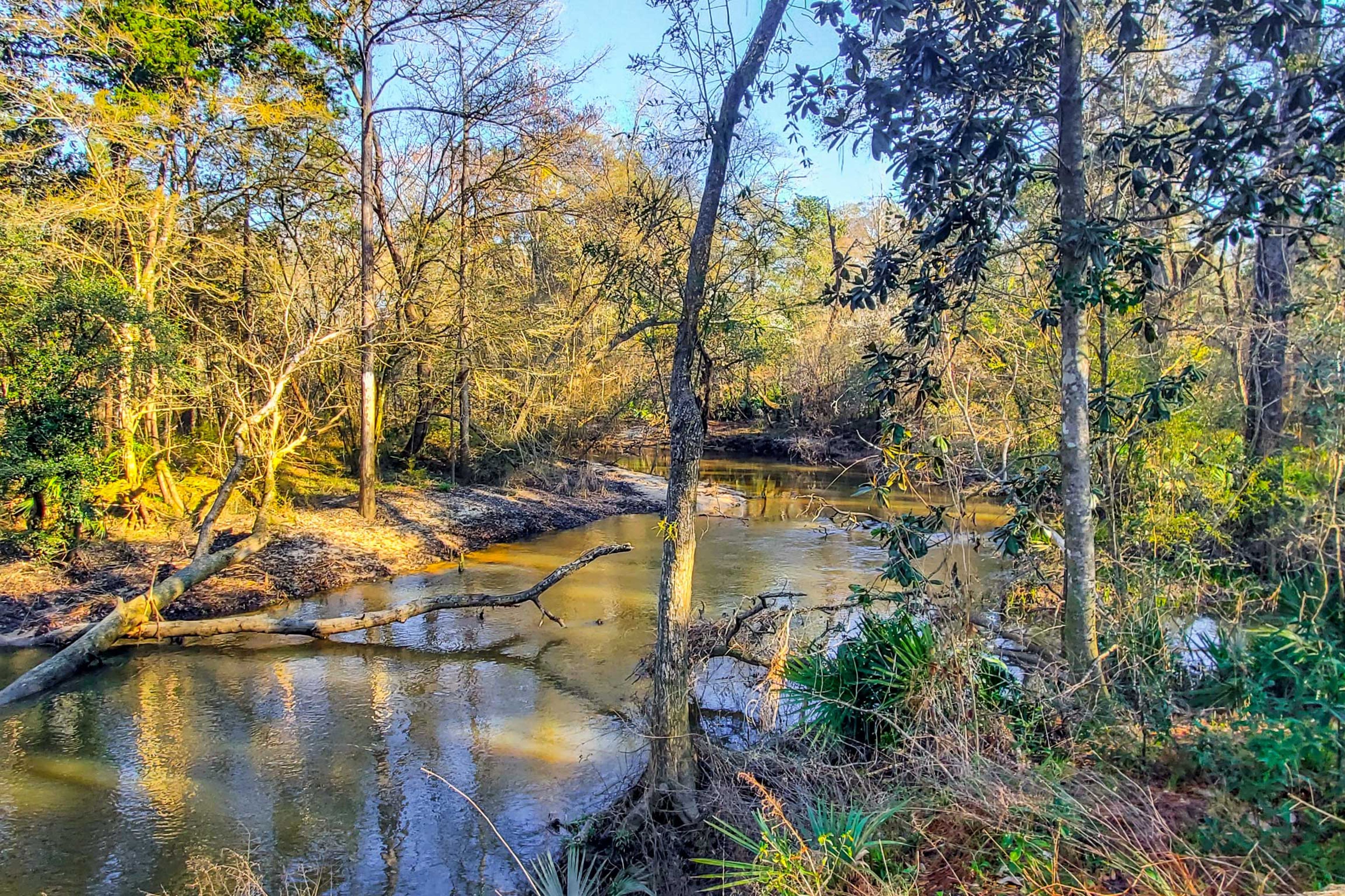 Direct Wrights Creek Access