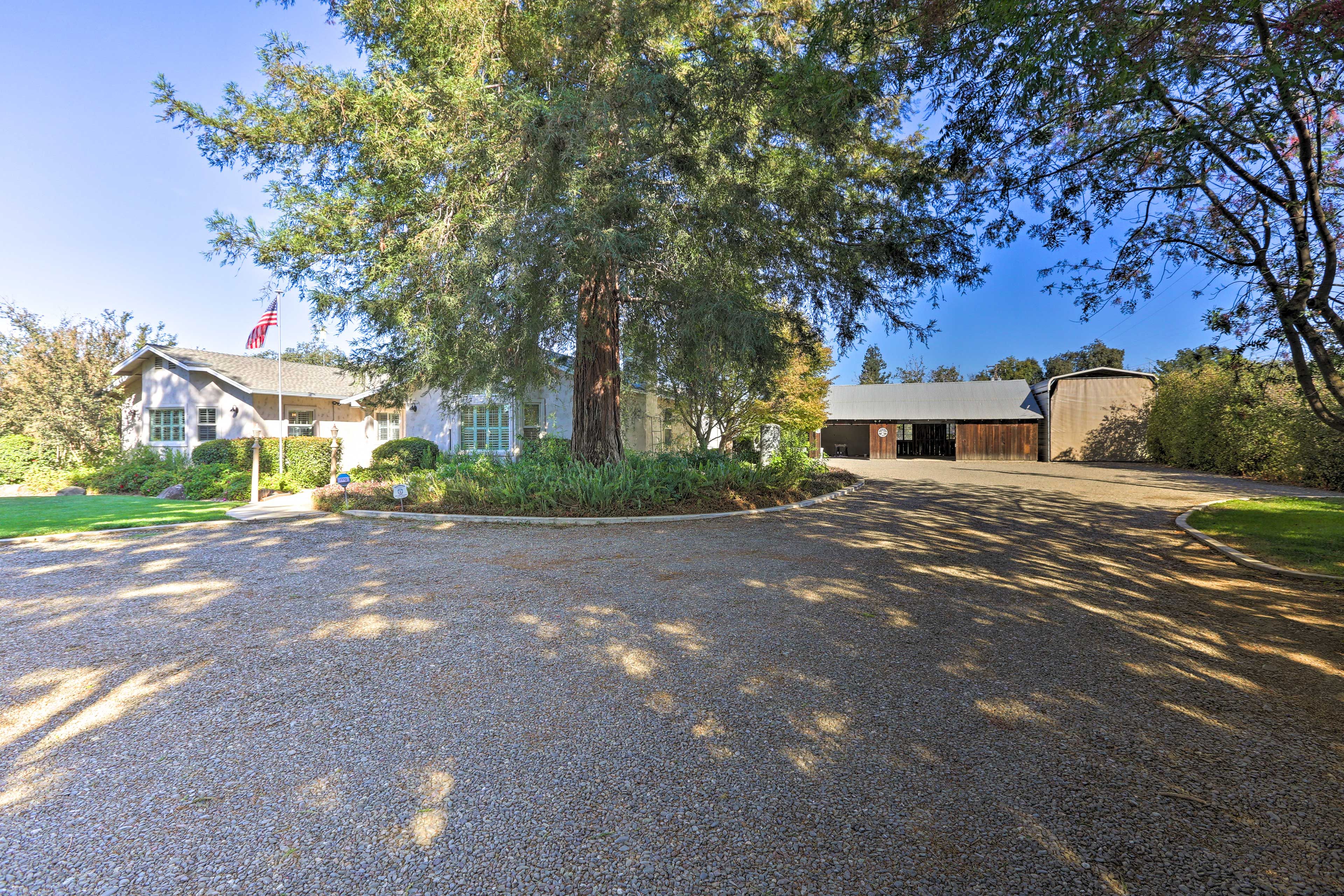 Parking | Carport (3 Vehicles) | Driveway (5 Vehicles)