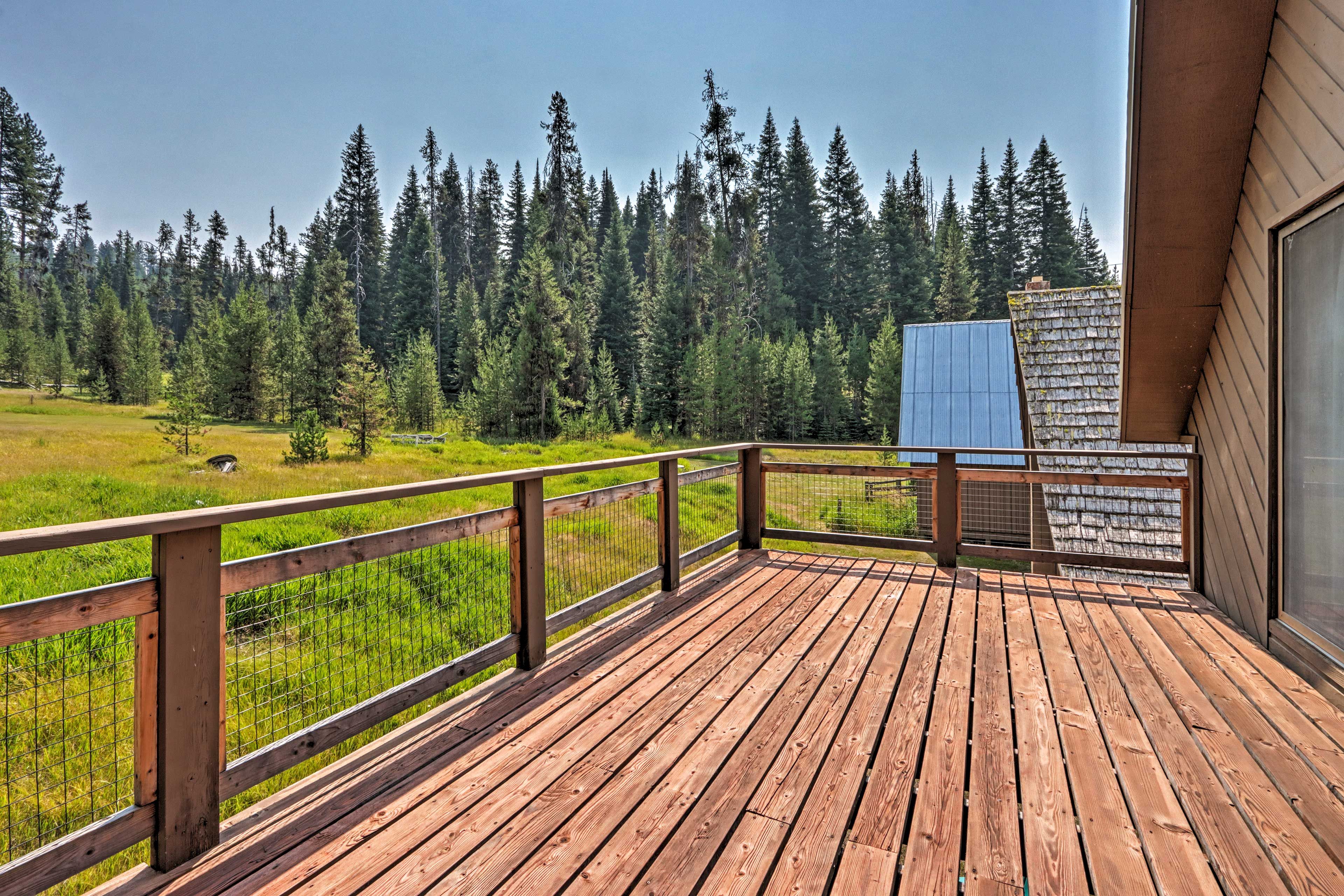 Back Deck