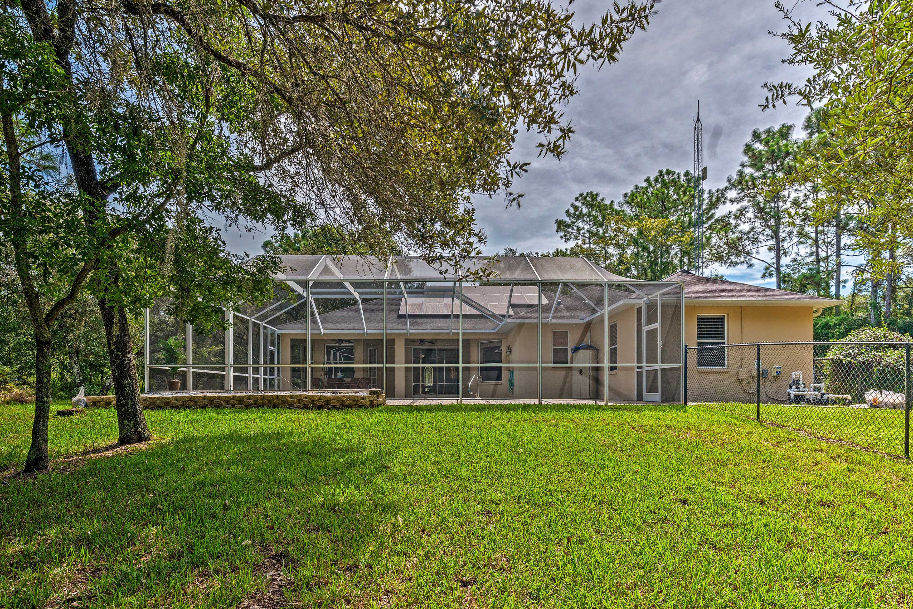 Back Yard | 1.5 Acres