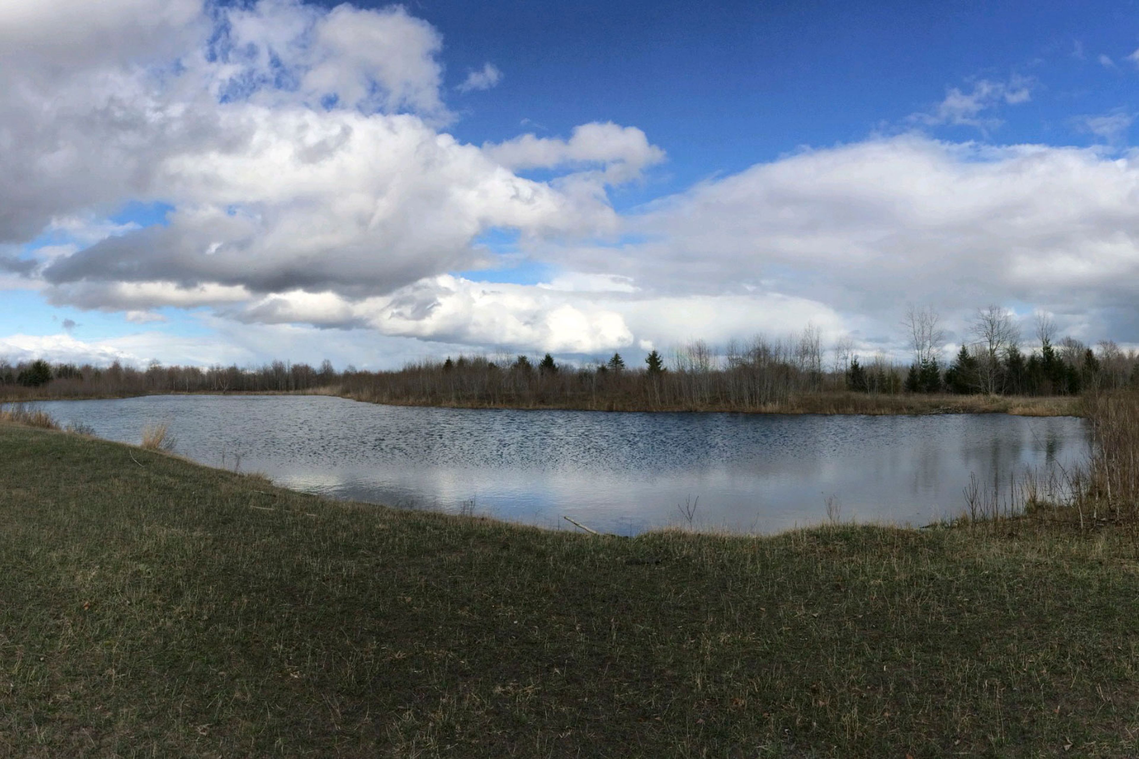 Surrounding Area