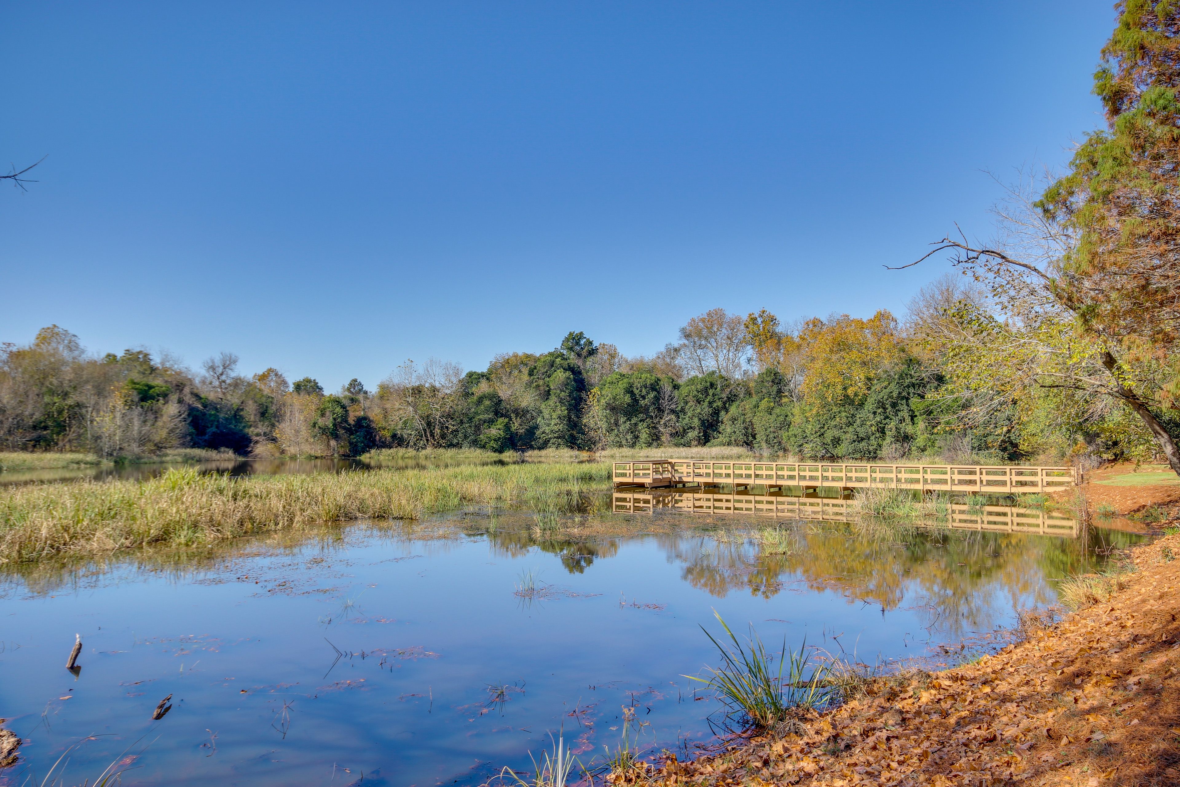 Community Pond & Fishing Pier