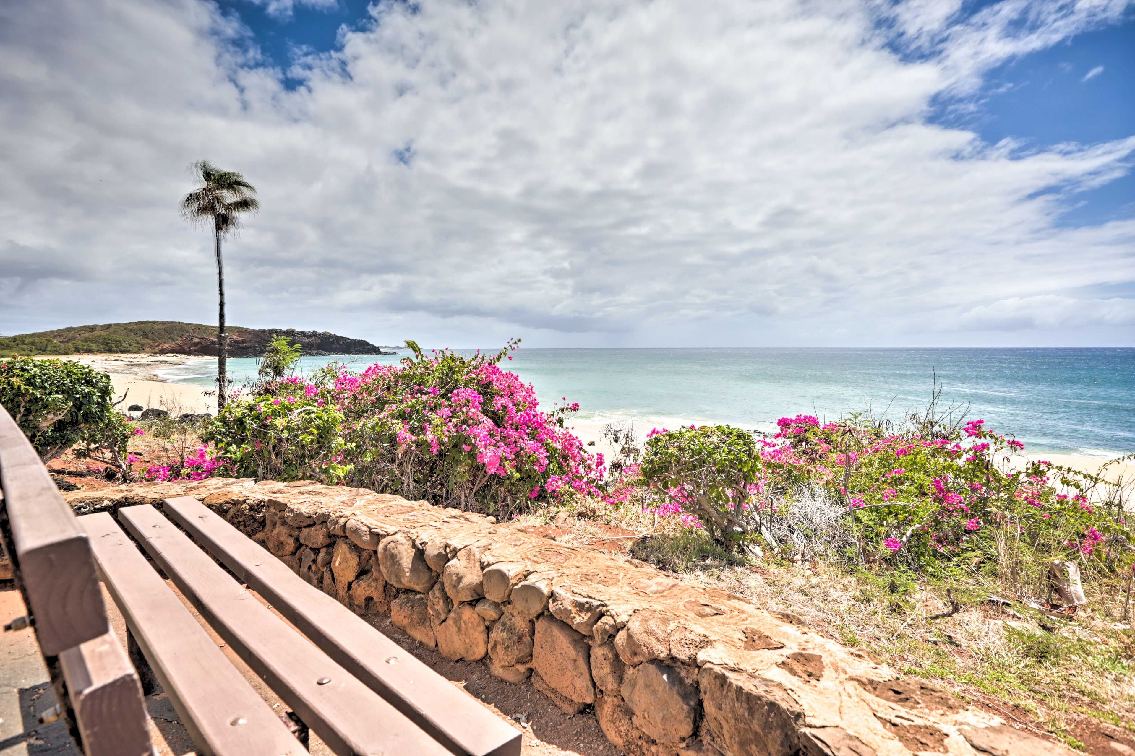 Beach Access | Surf & Snorkel