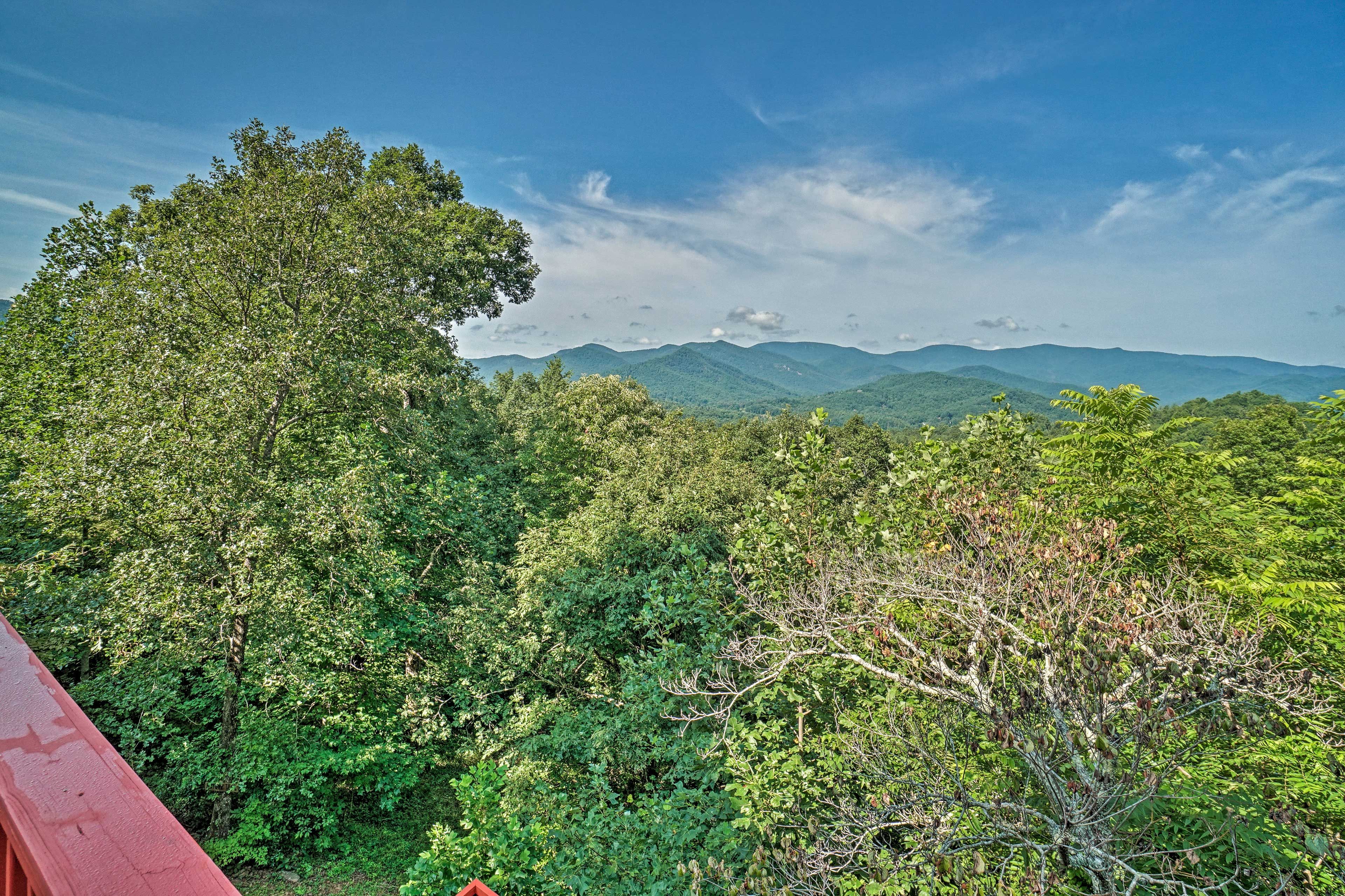 Deck | Views