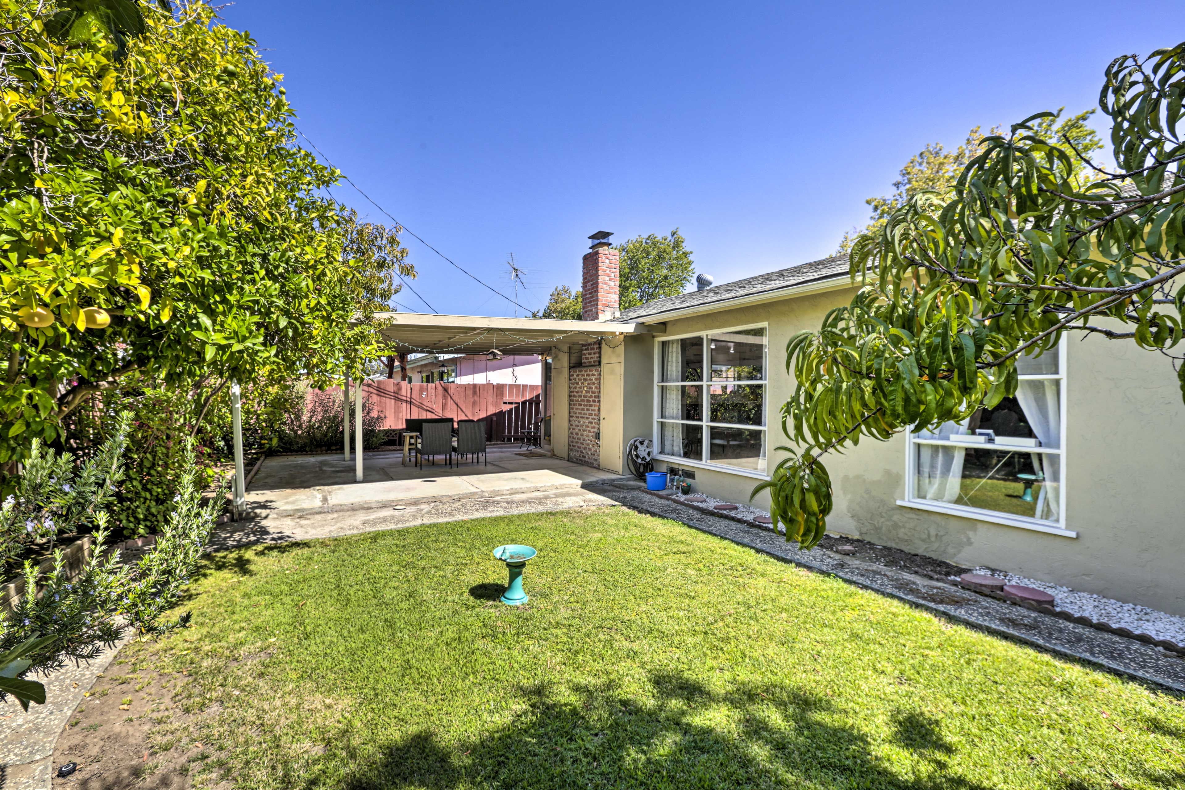 Fenced Yard