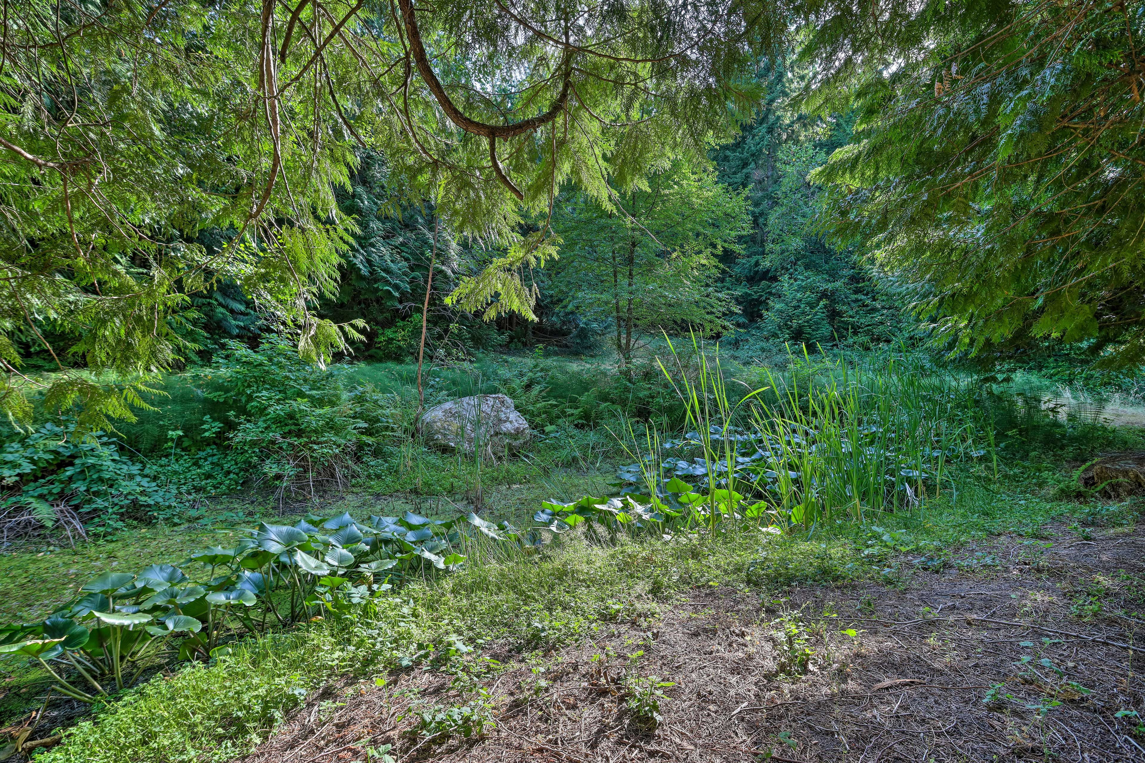 On-Site Pond