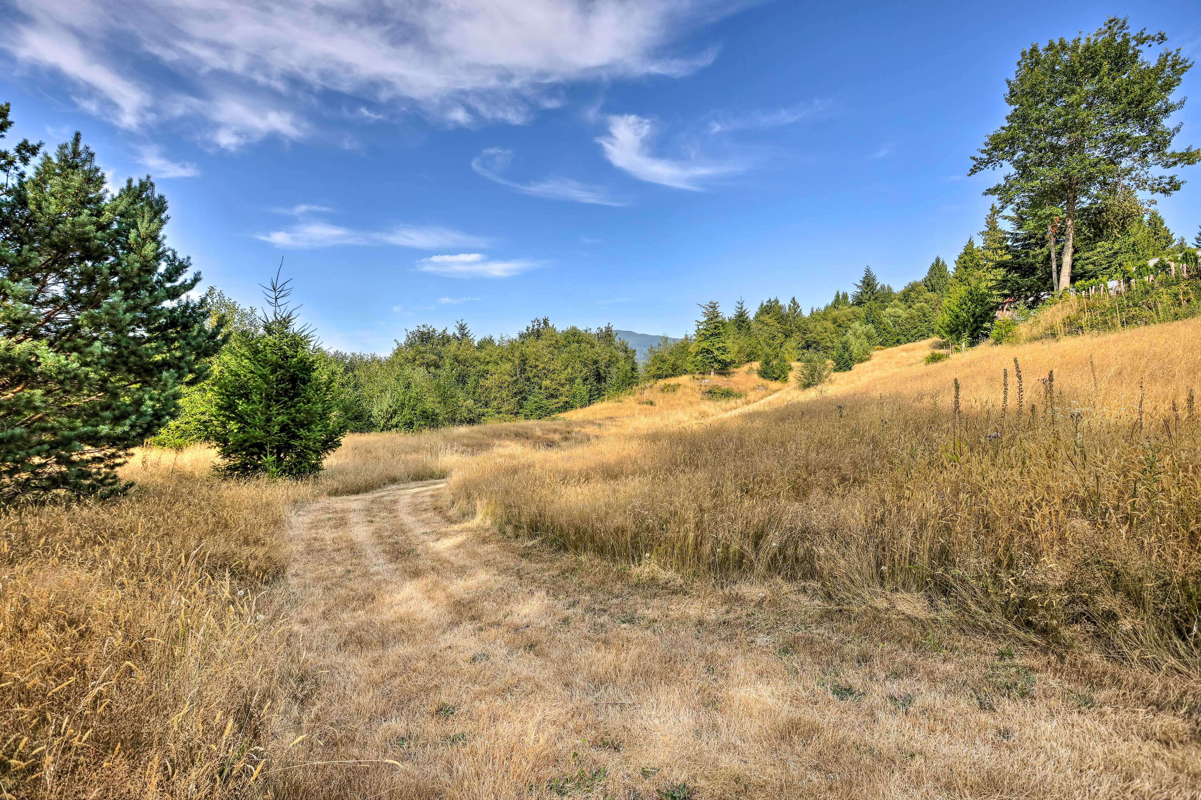 Backyard | Trails