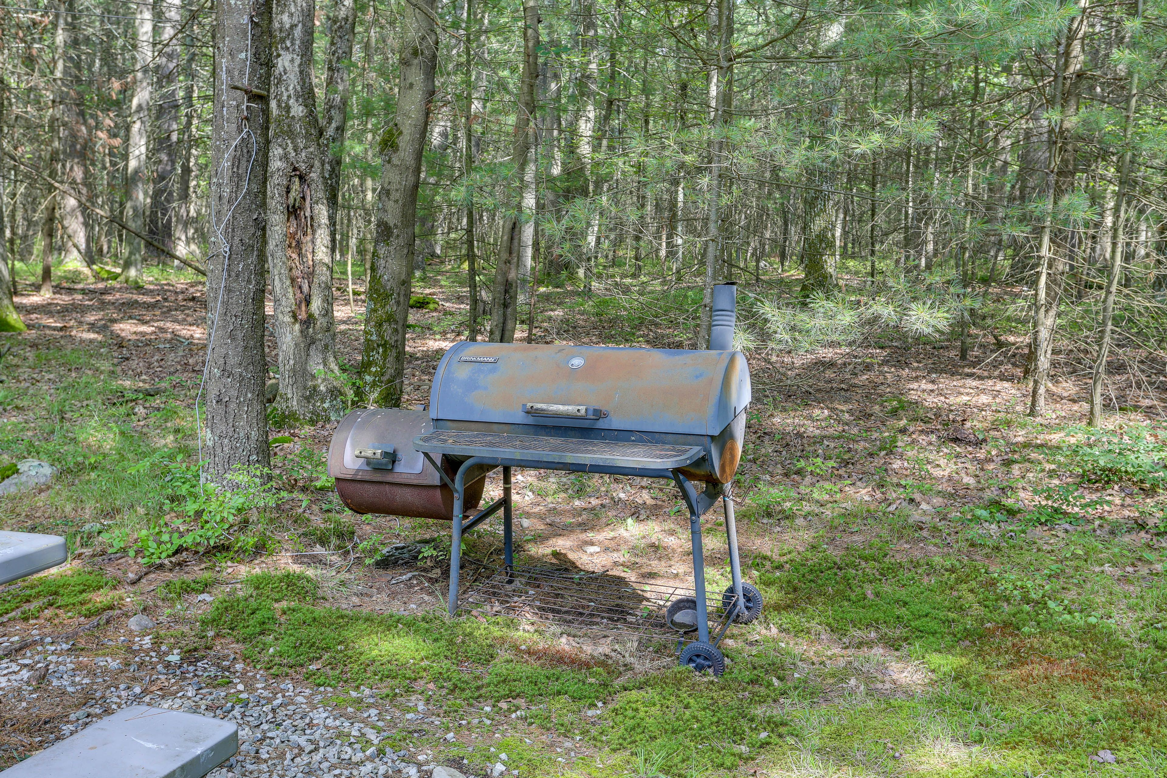 Grill
