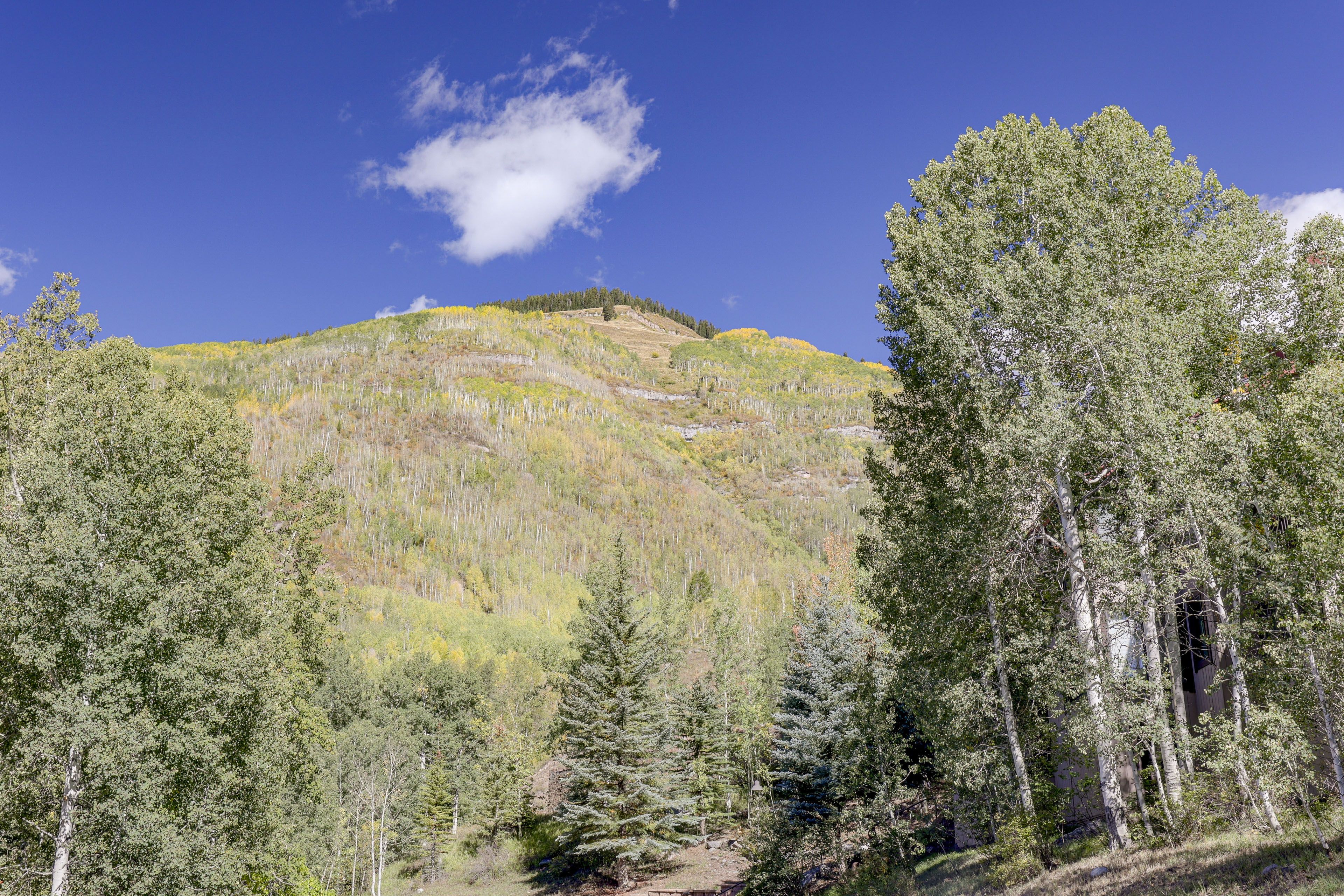 Image 35