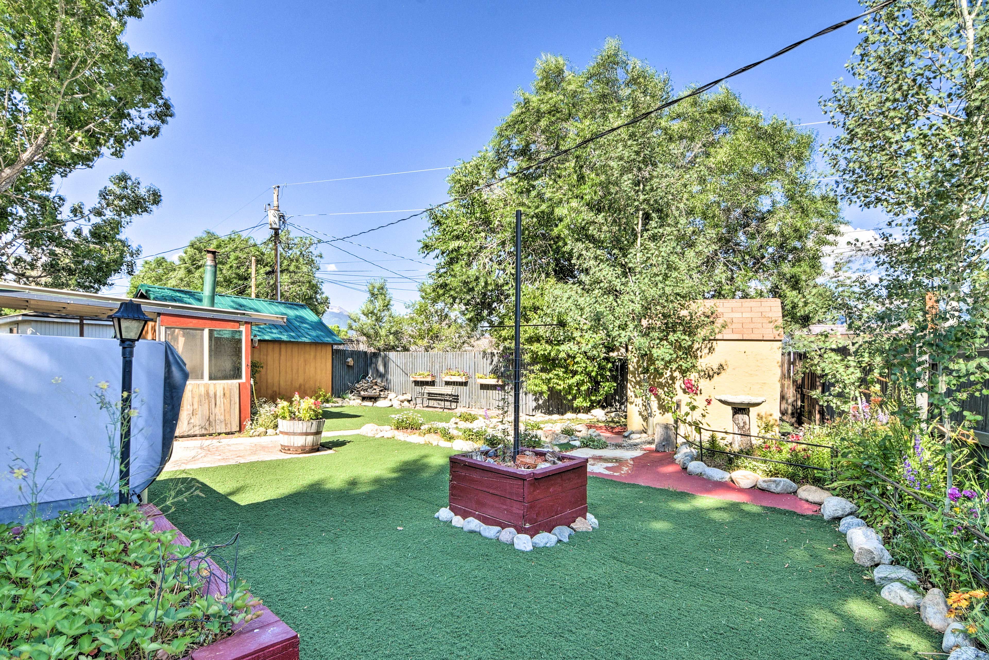 Backyard