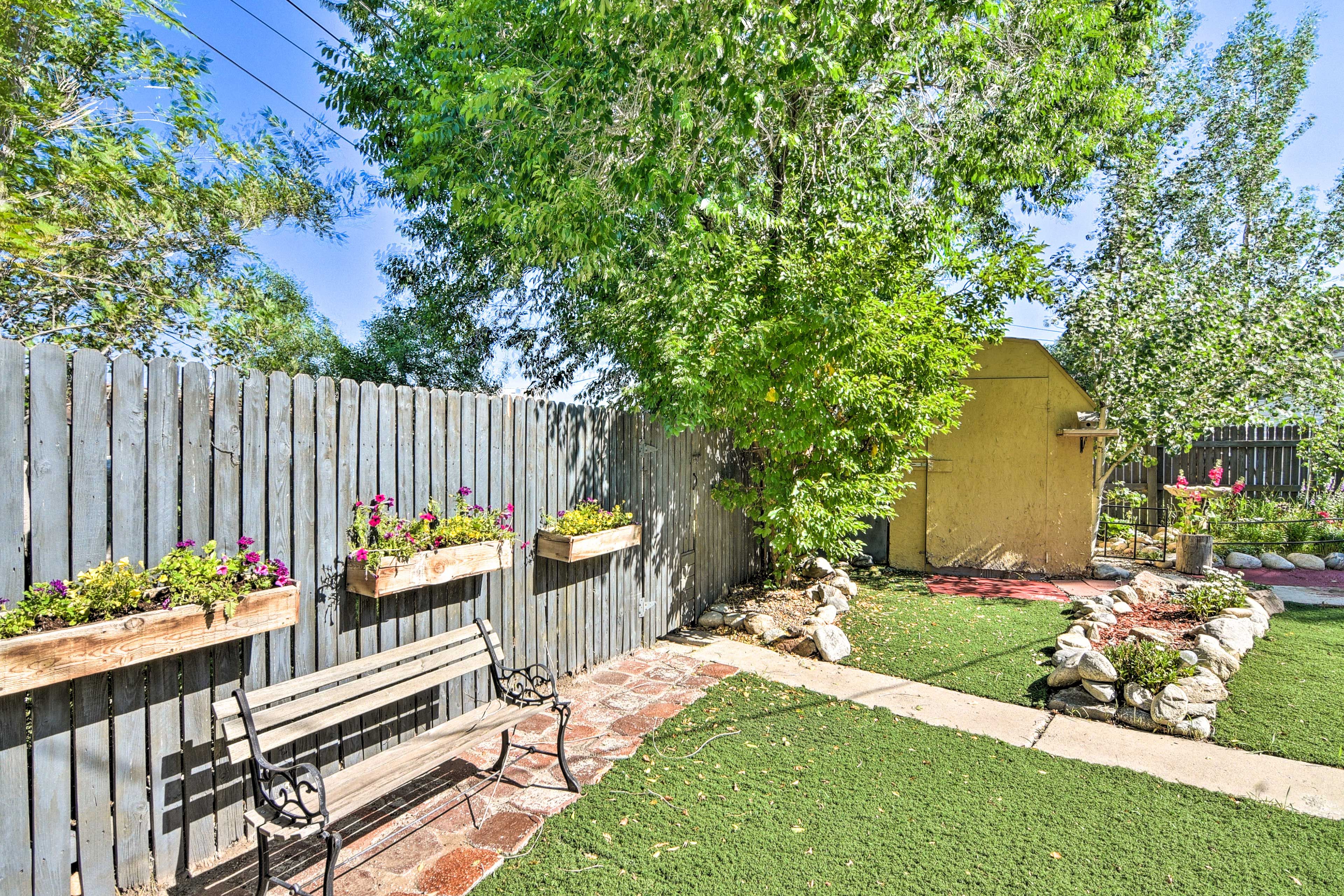 Backyard