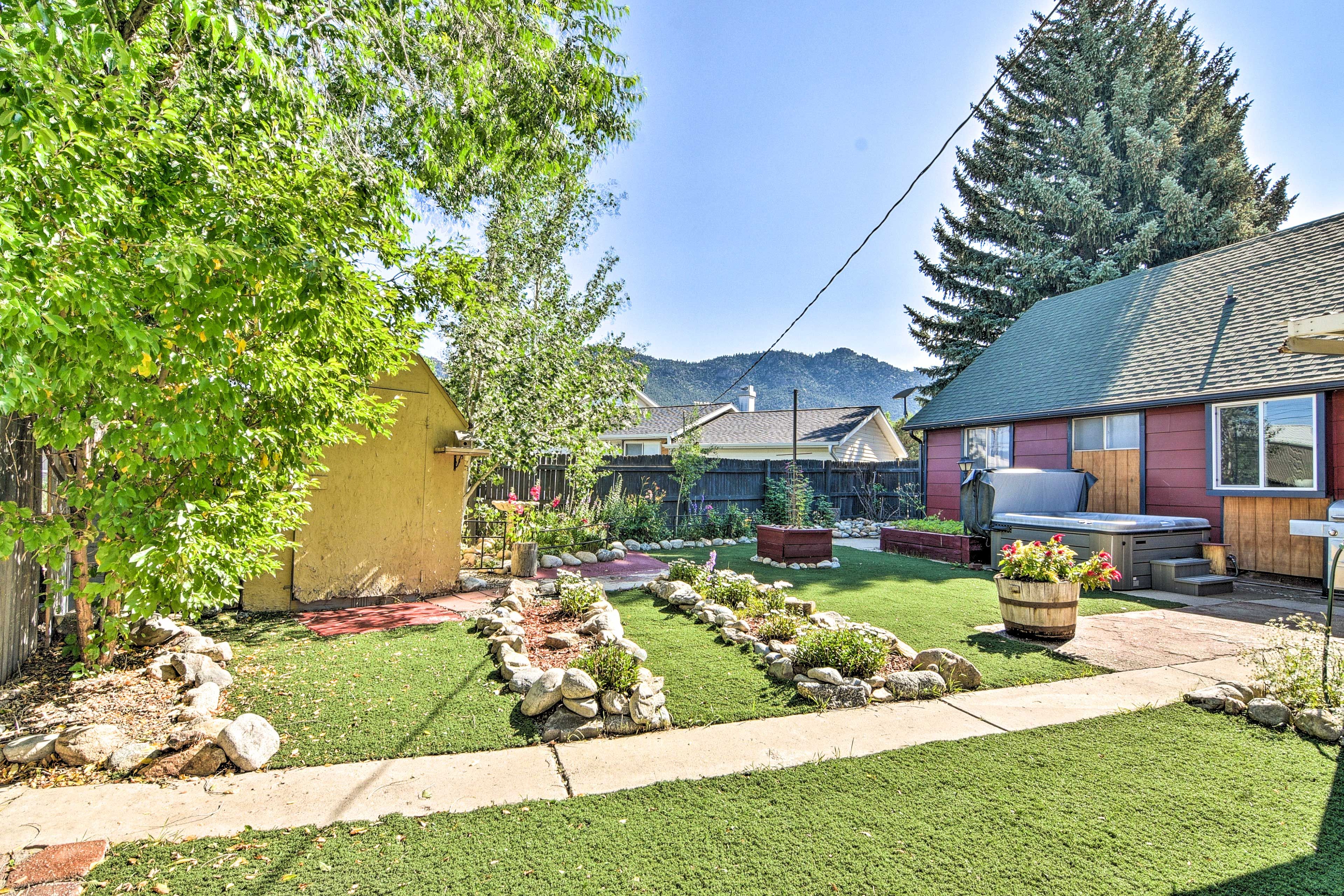Backyard