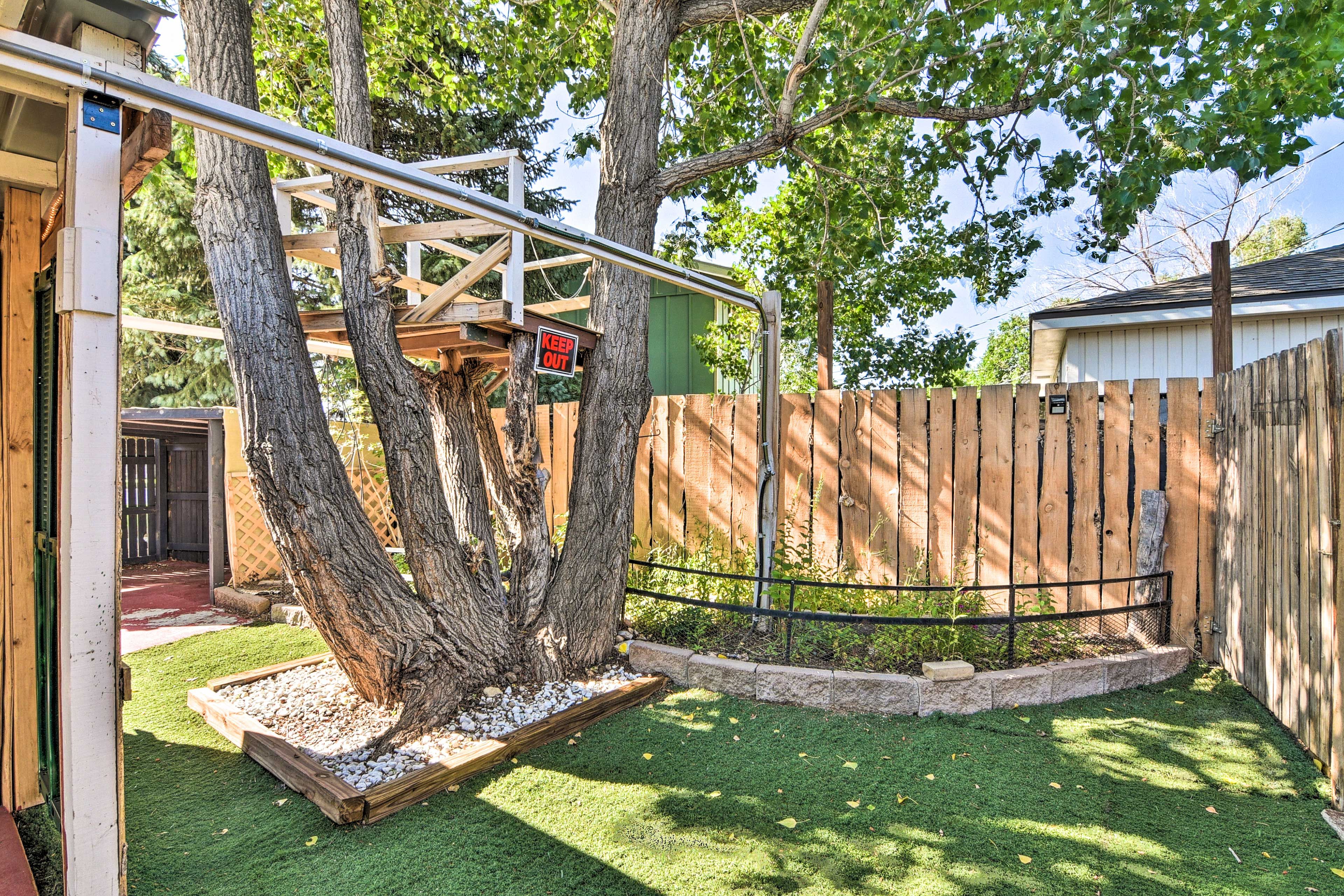 Backyard | Treehouse
