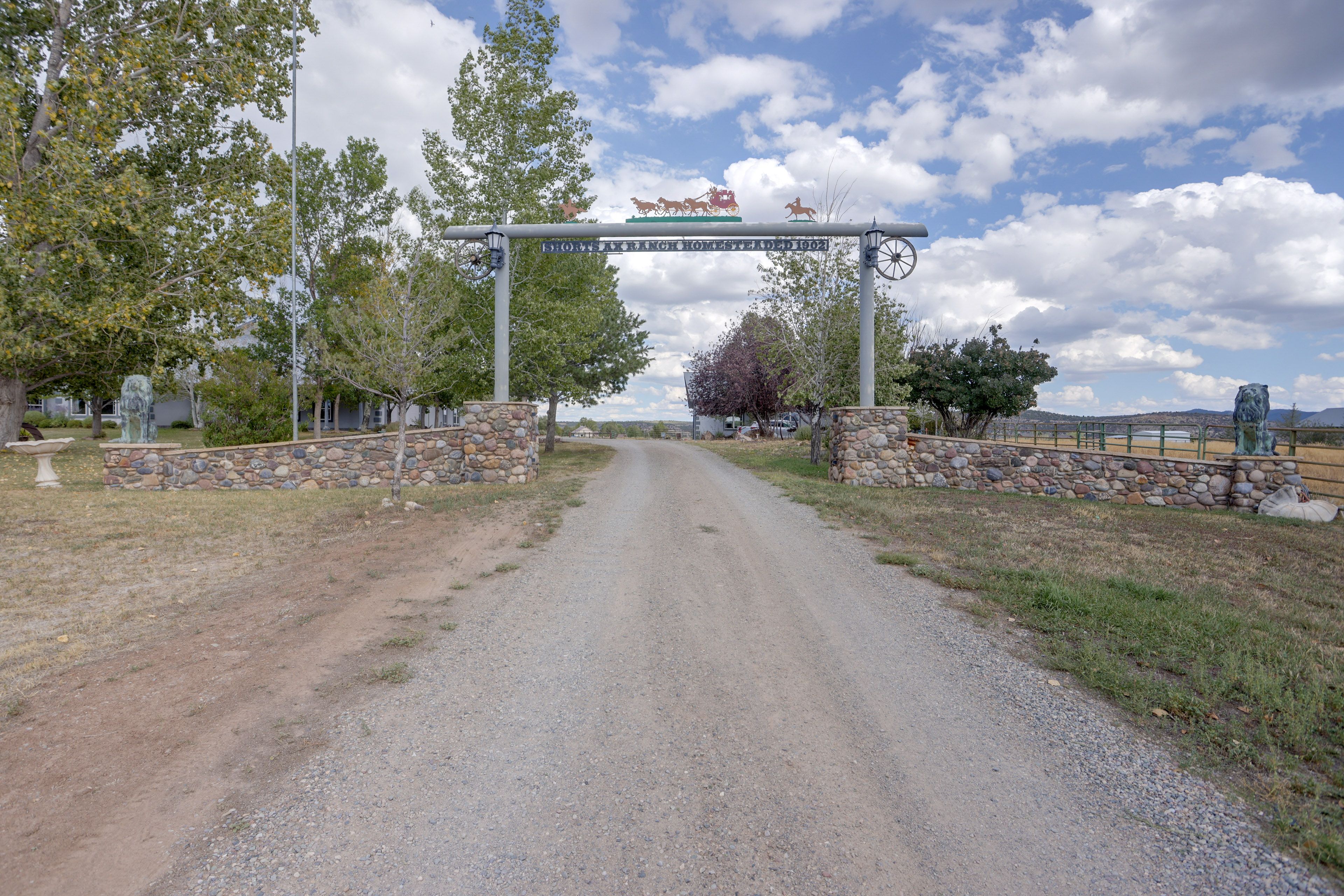 Image 50