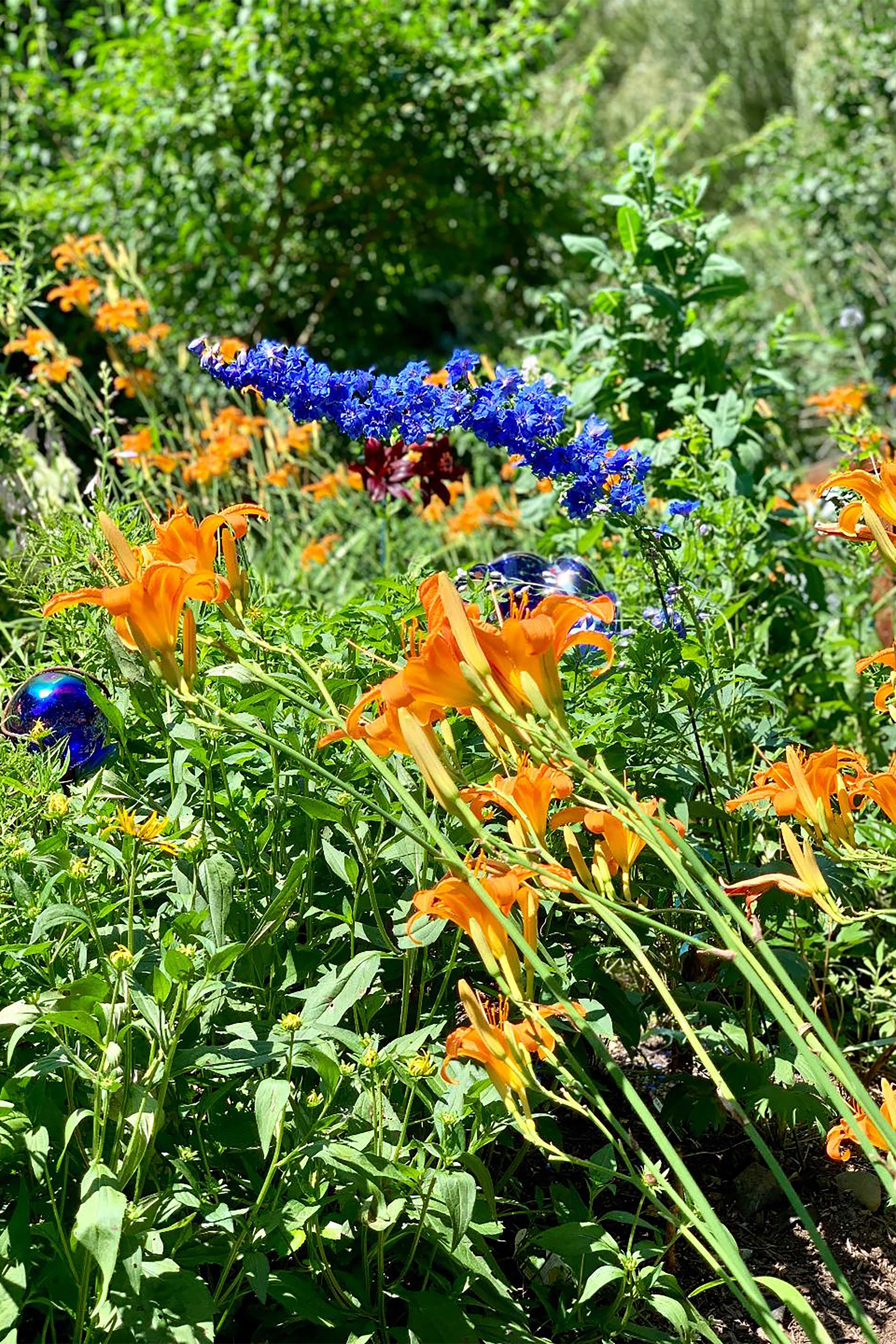 Local Flowers