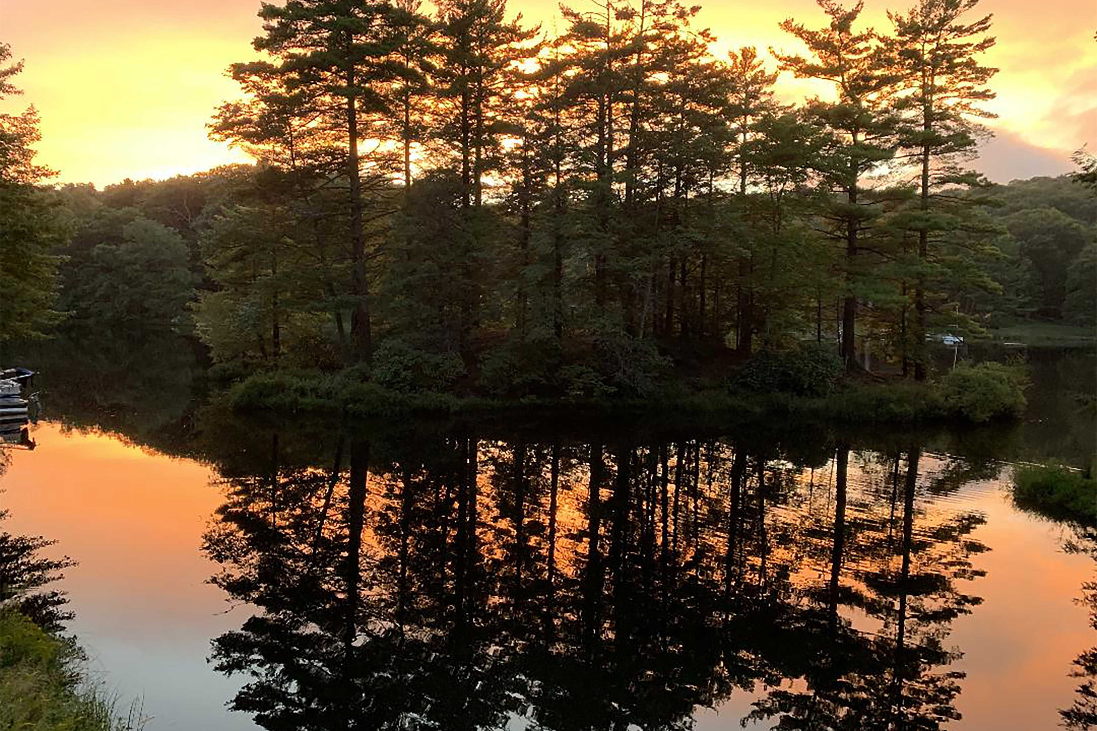 Lake Views