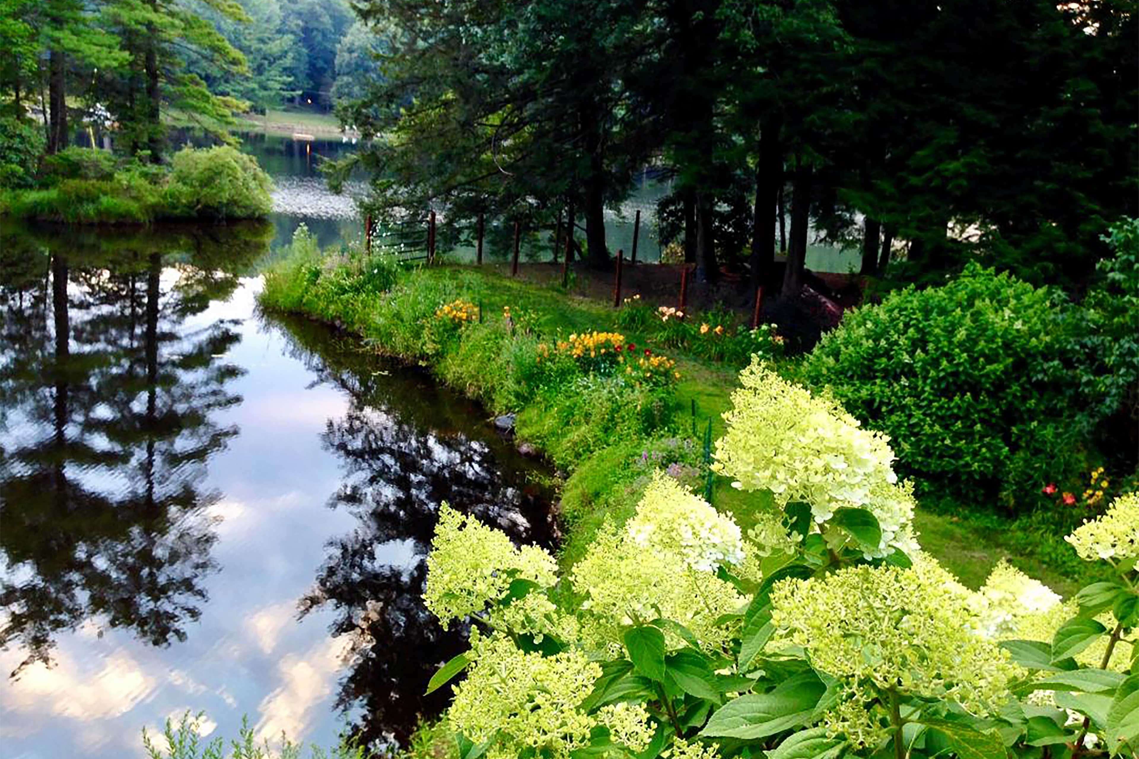 Exterior Space | Lake View