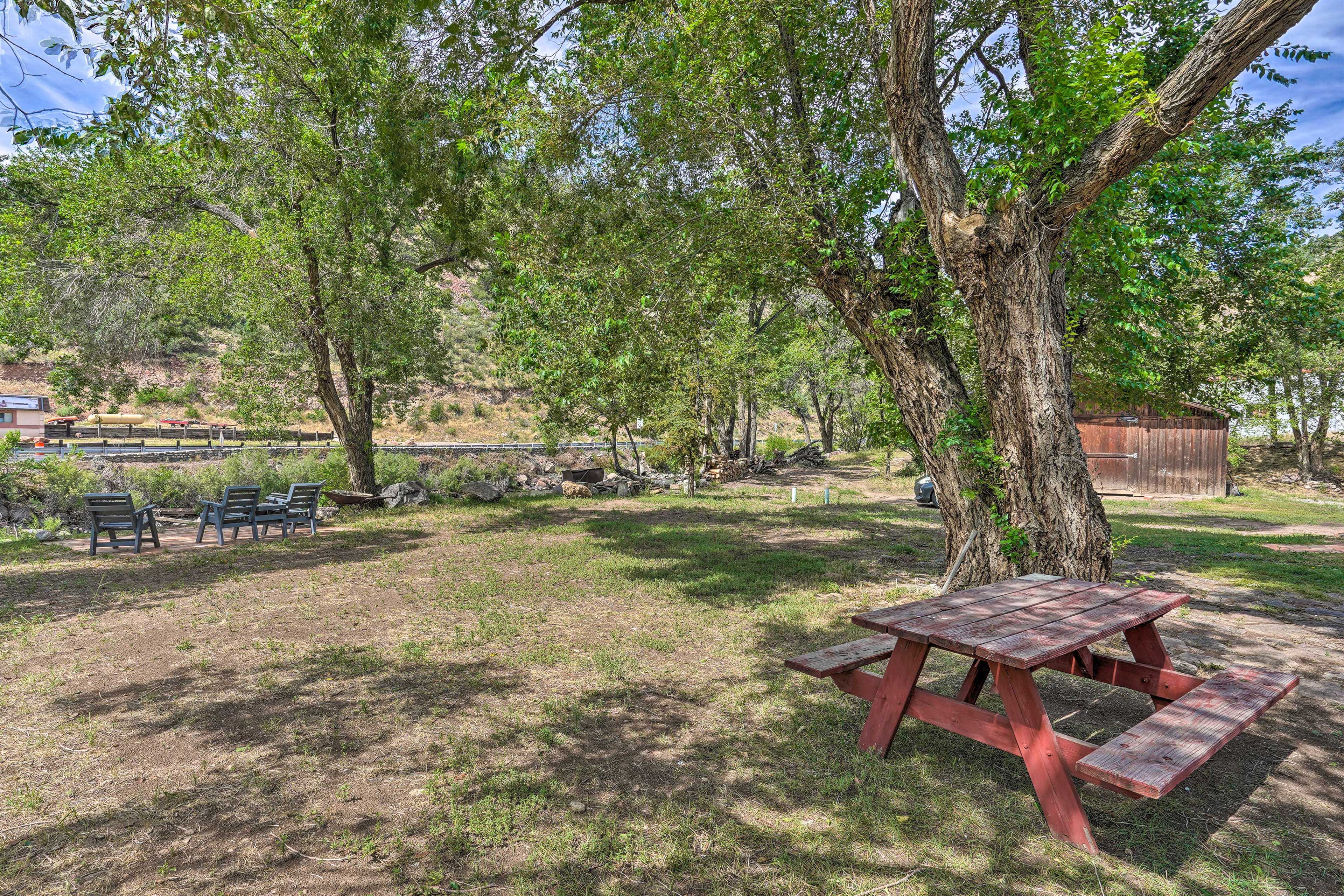 Backyard | Picnic Area