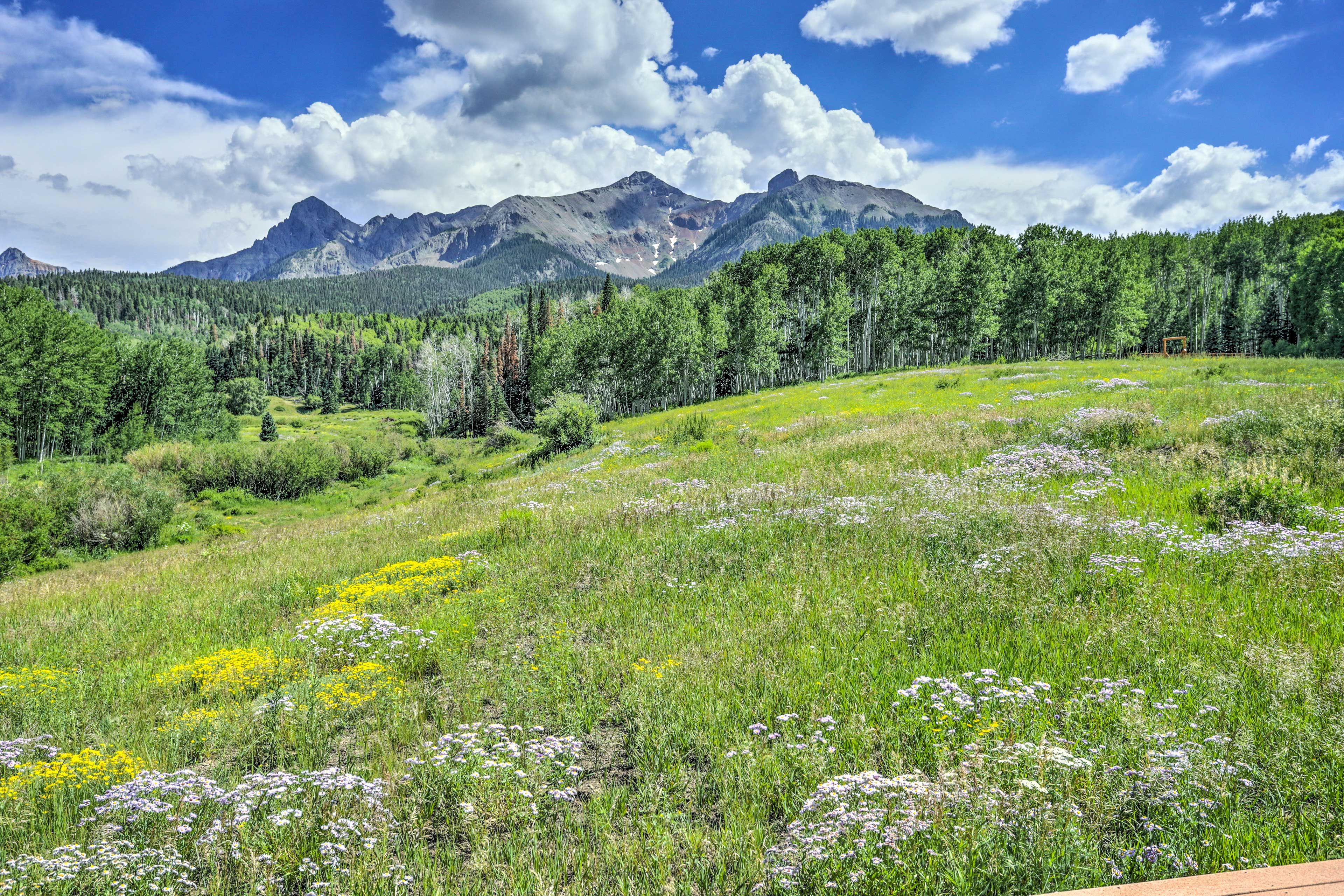 Patio View | Sneffels Mountain Range