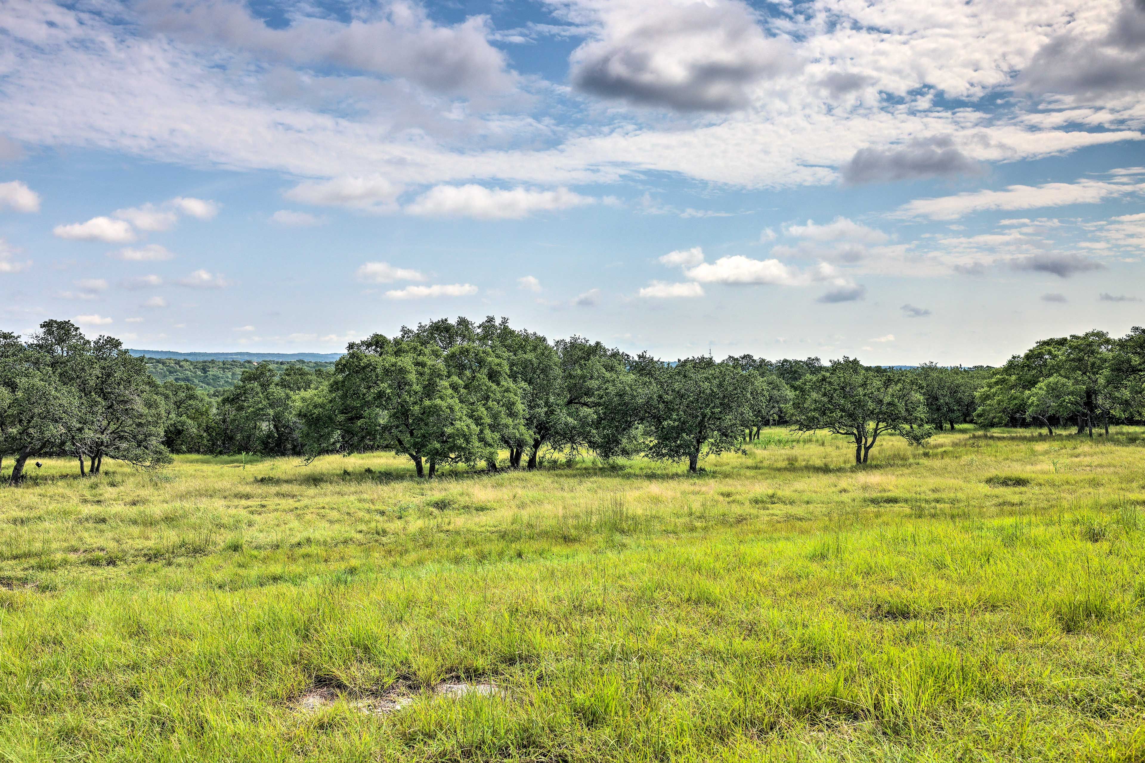 18 Acres