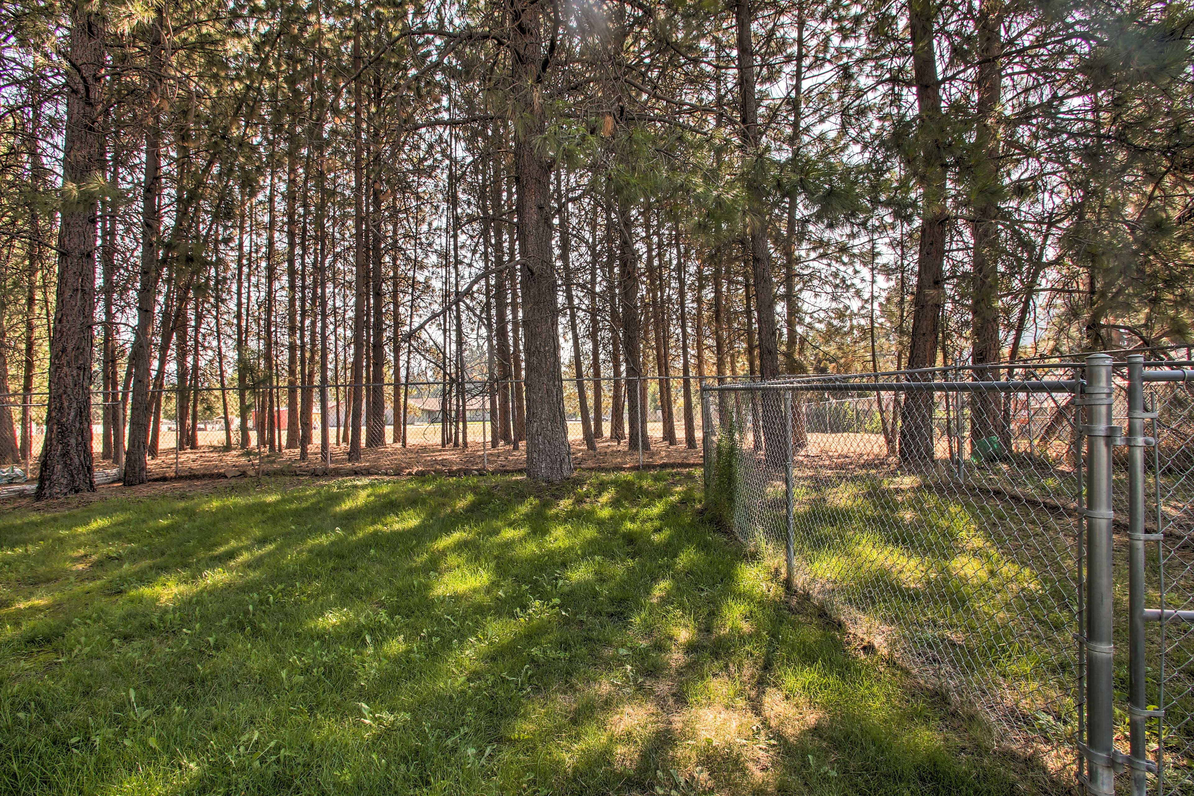 Duplex Backyard