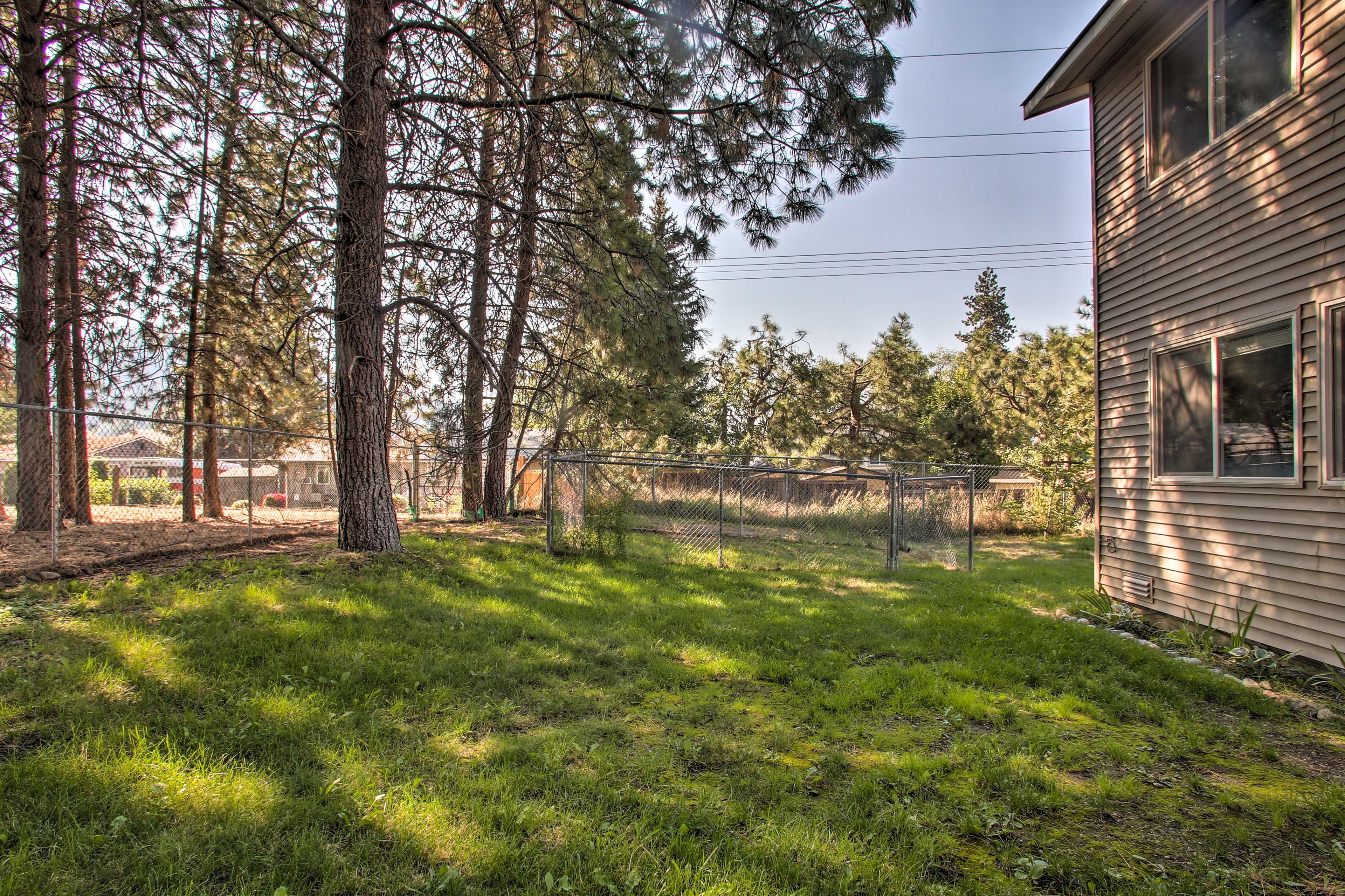 Duplex Backyard