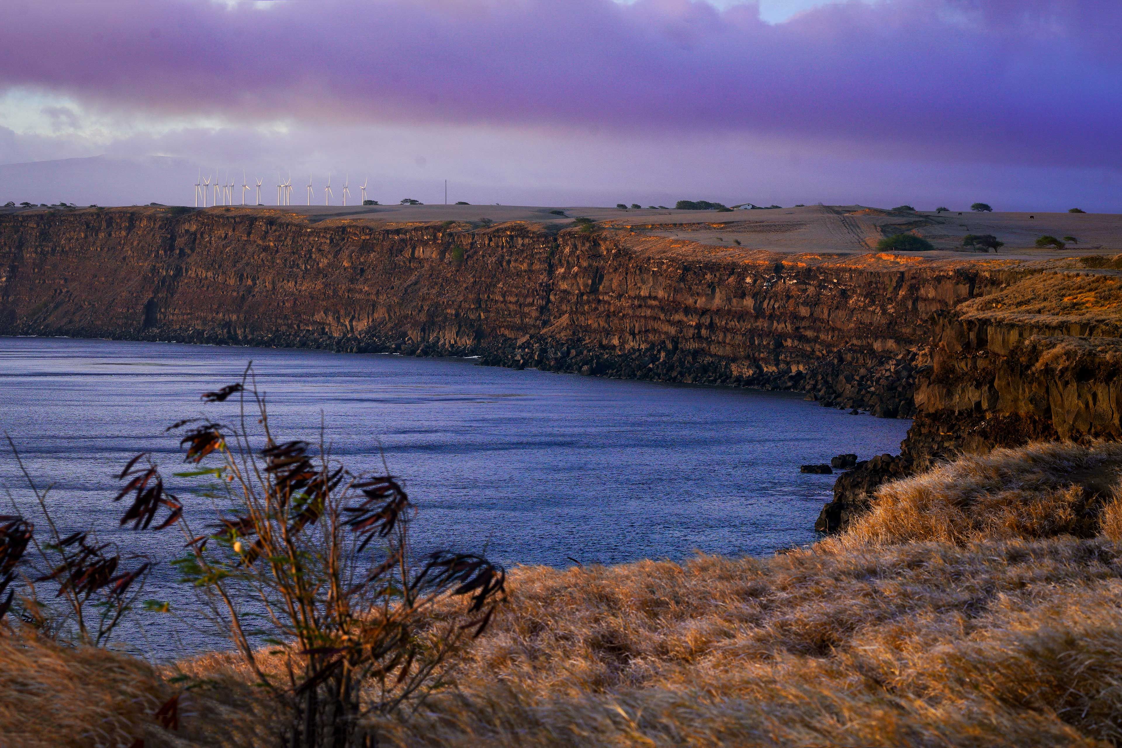 Nearby | South Point